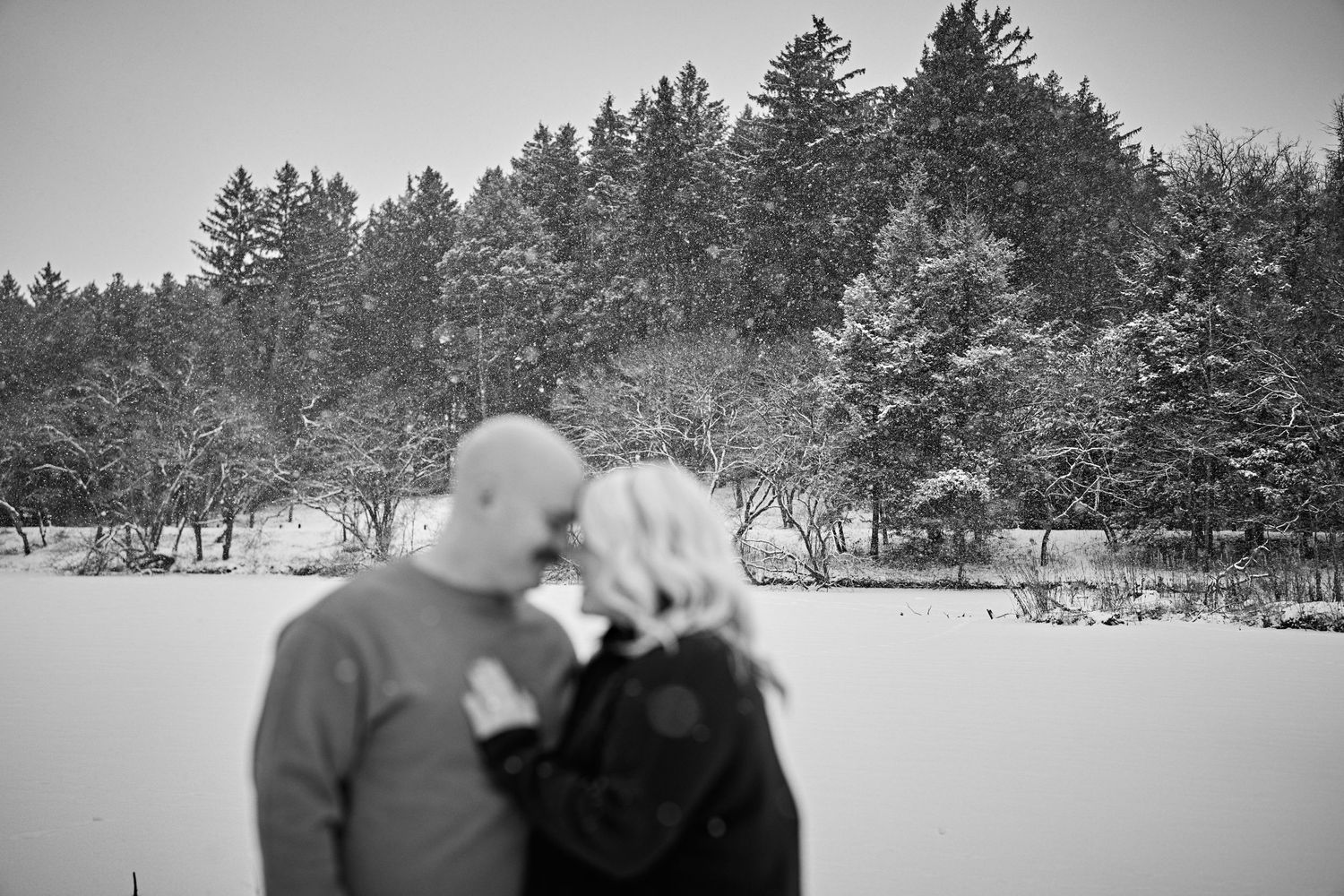 A black and white winter scene showing a couple gazing at snowy evergreen forest landscape.