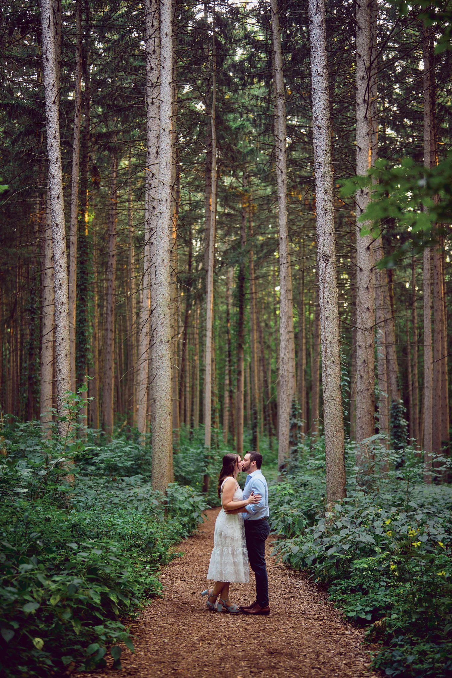 Two figures share an intimate moment while standing on a forest path surrounded by tall evergreen trees and lush undergrowth.