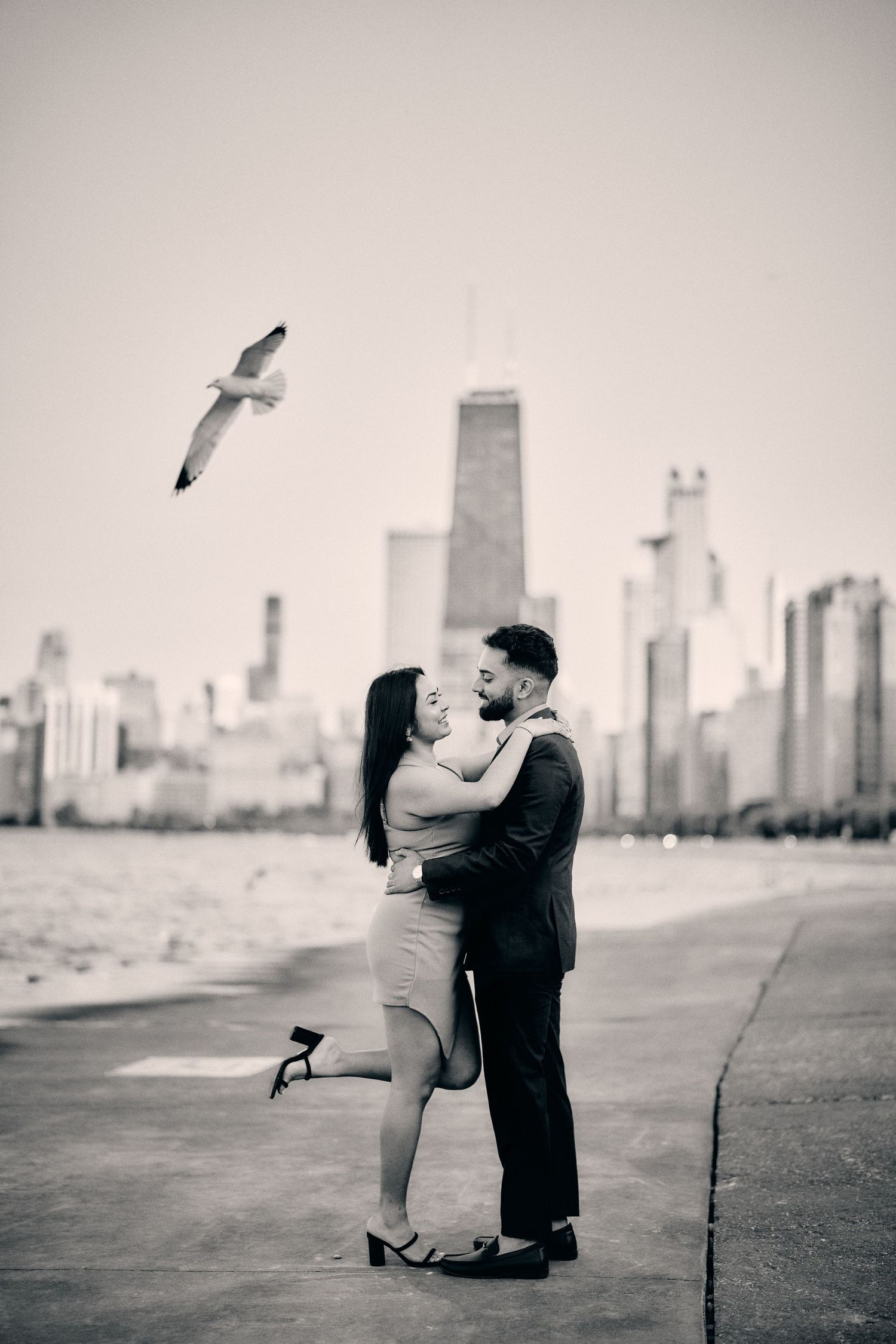 A romantic couple embraces on Chicago's lakefront while a seagull soars overhead with the city skyline in the background.
