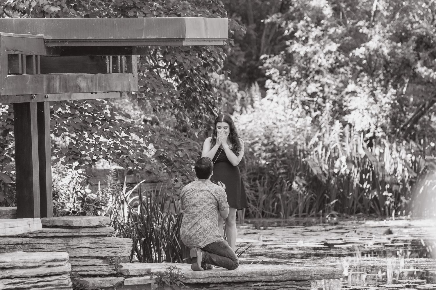 A proposal moment captured in black and white as someone kneels on stone steps in a garden setting.