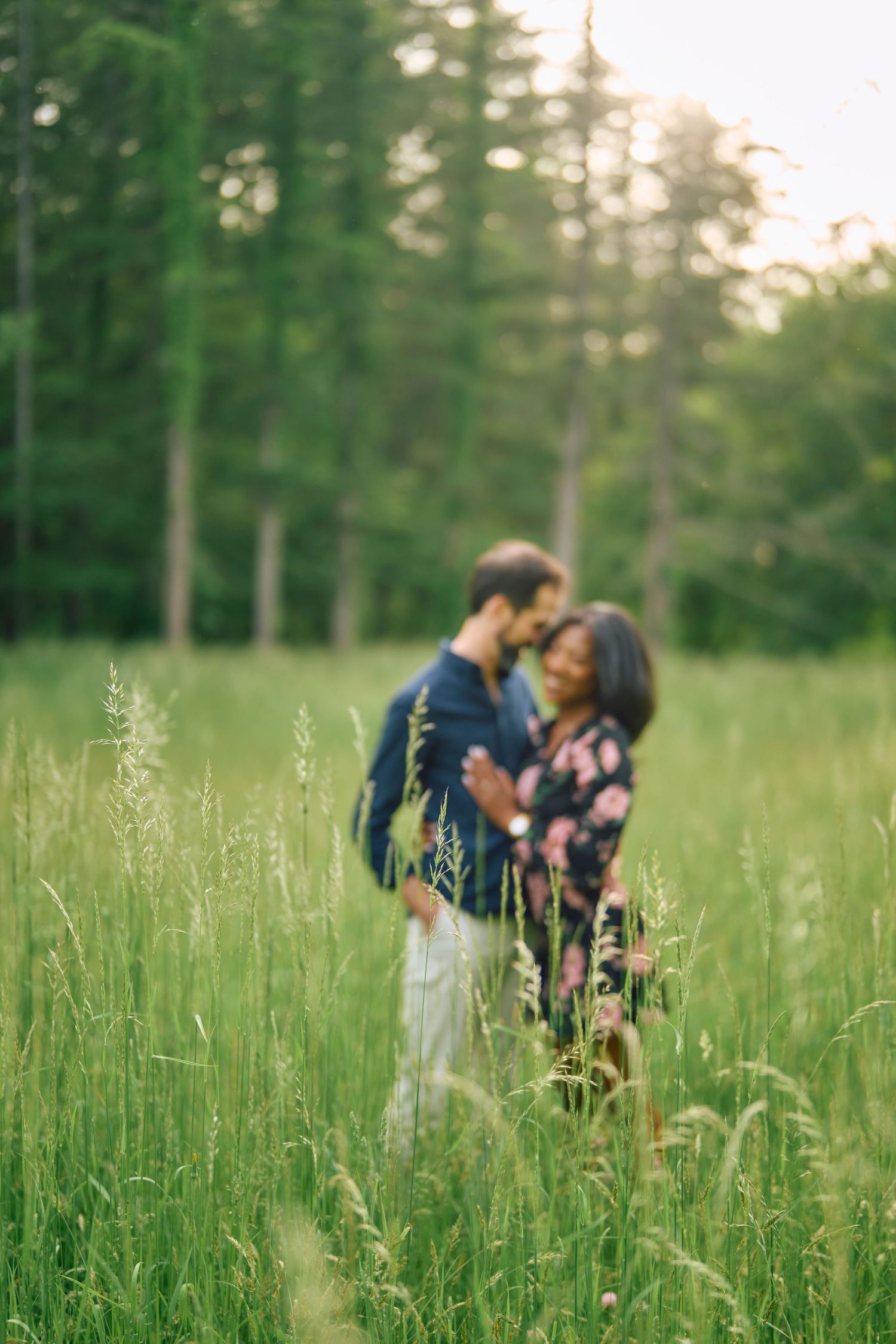 A romantic couple stands close together in a tall grass meadow with sunlit evergreen forest in the background.