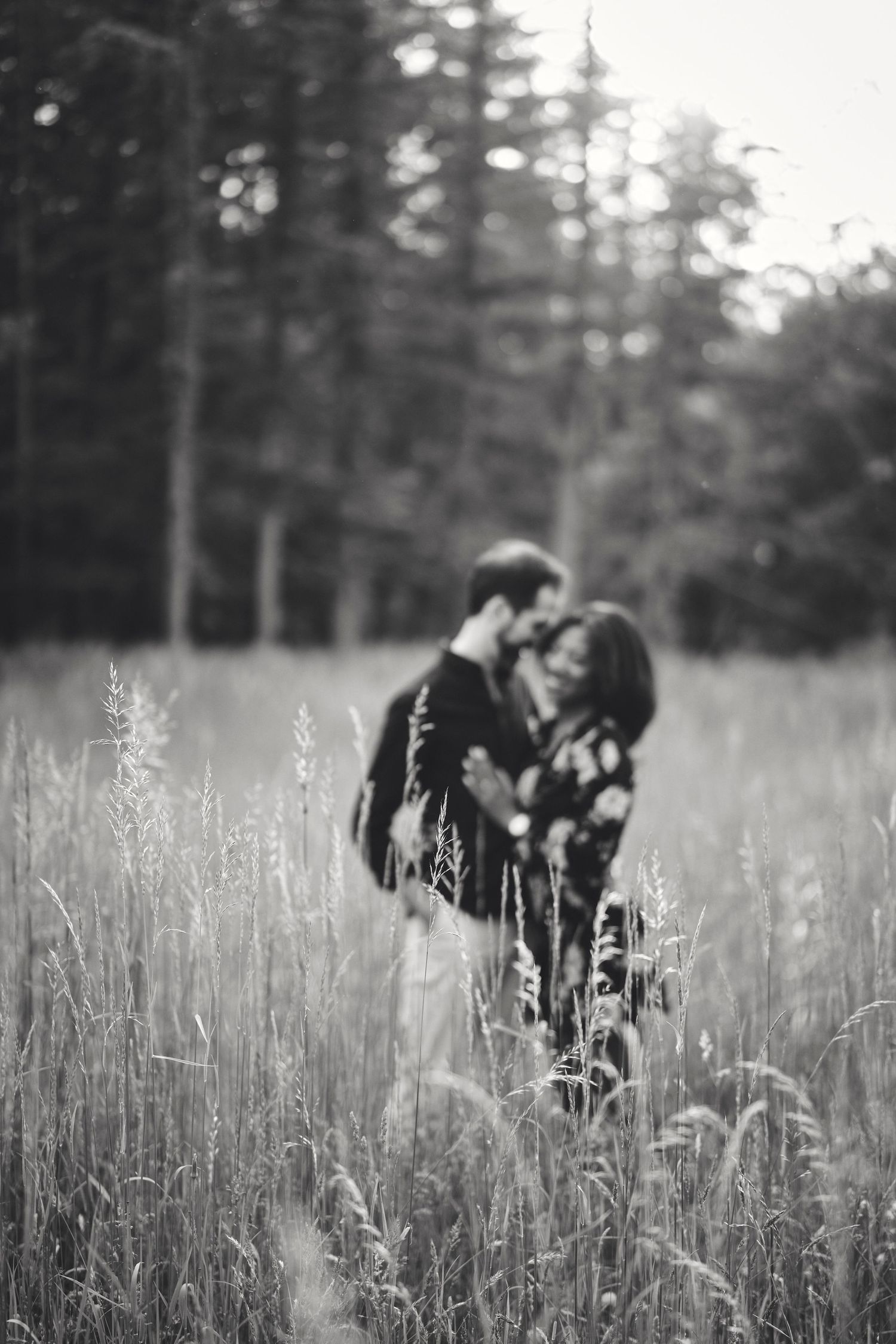 A romantic black and white photo of a couple embracing in a tall grass meadow with a forest backdrop.