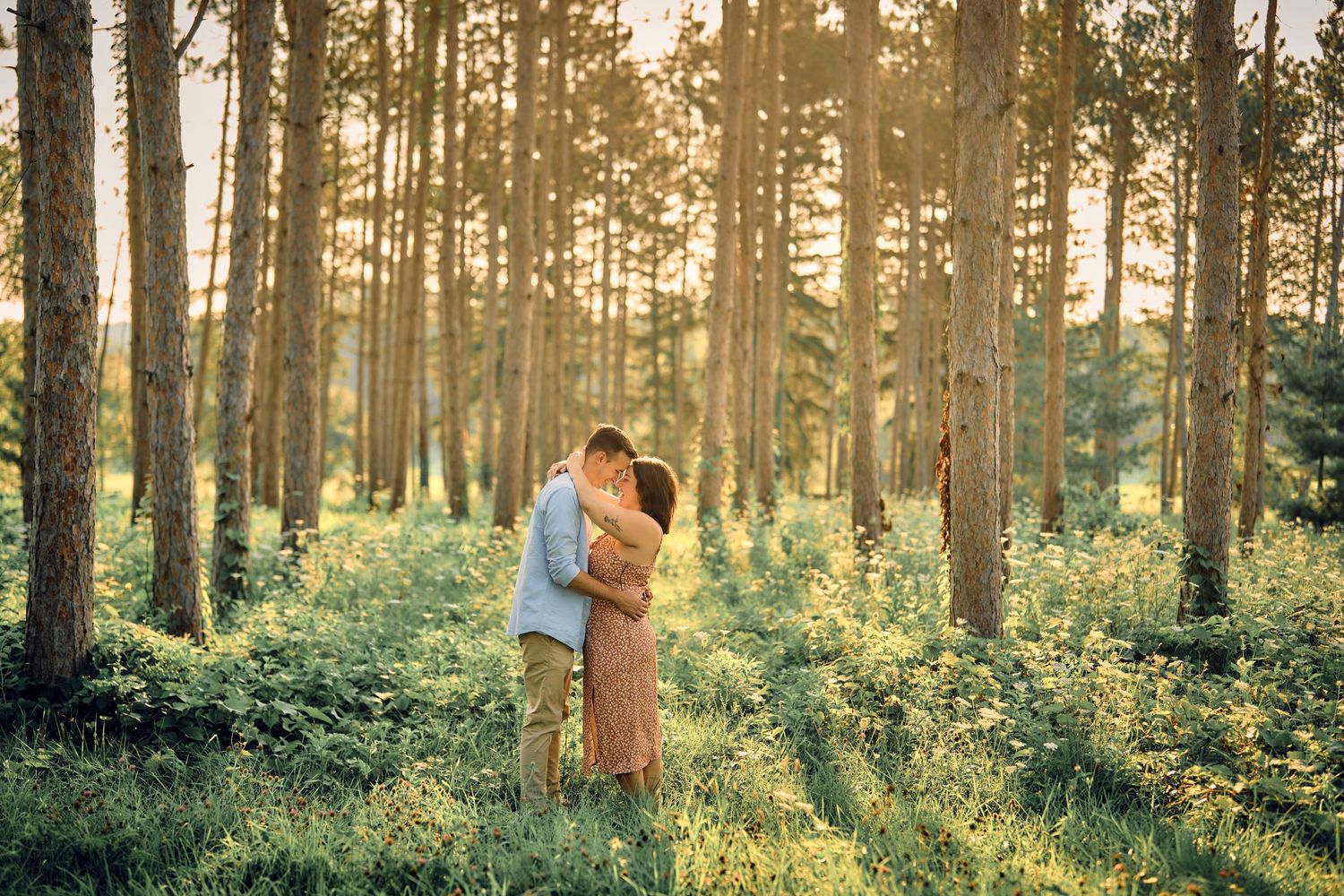 A couple embraces in a sunlit pine forest with golden light filtering through the trees during sunset.