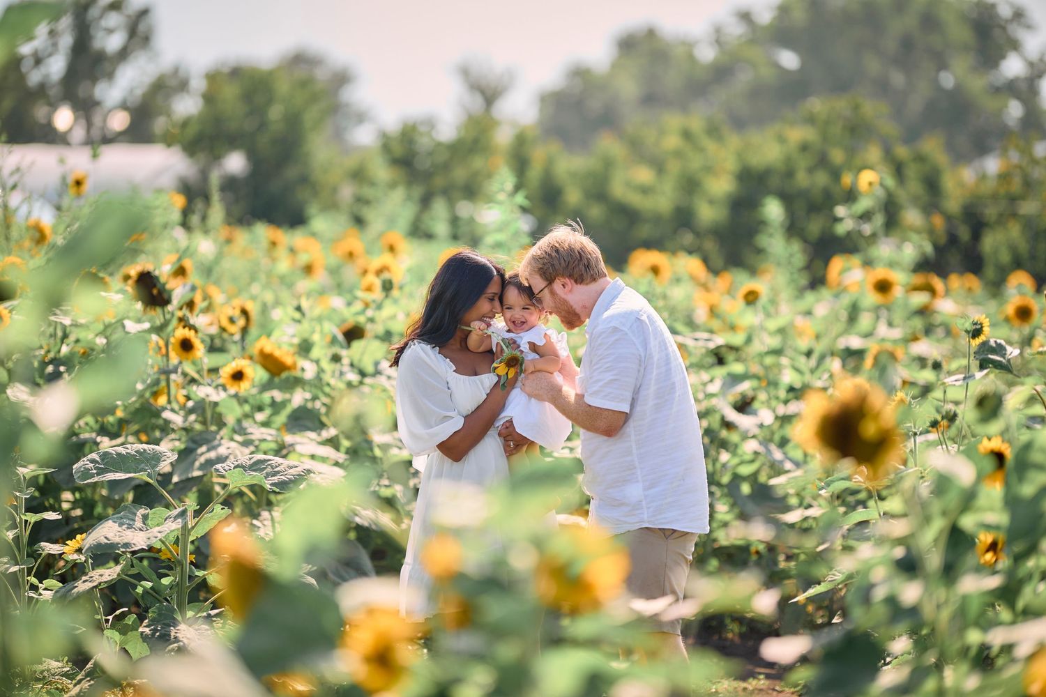 A couple stands close together in a blooming sunflower field on a bright summer day.