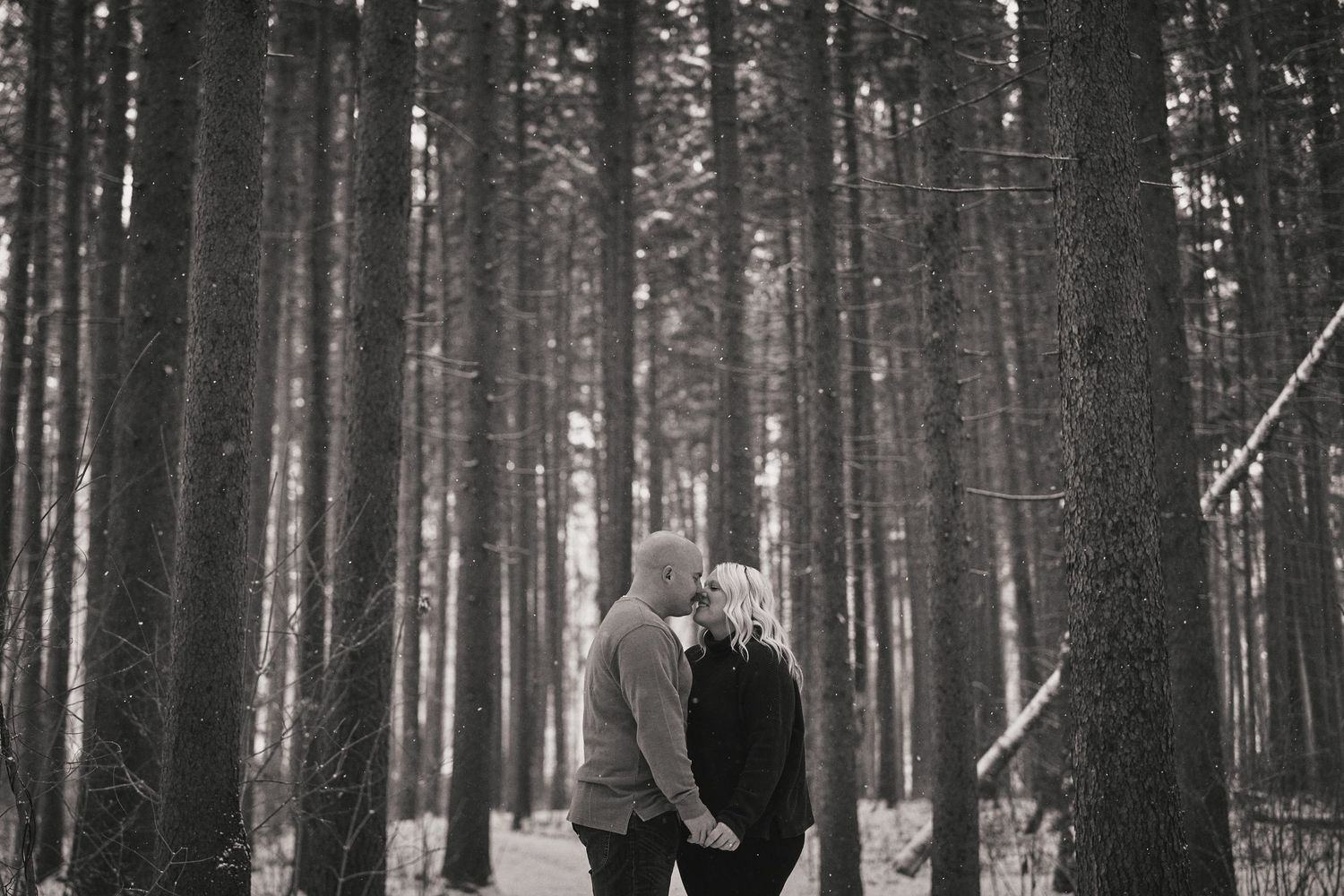 Black and white photo of a couple walking through a misty pine forest path.
