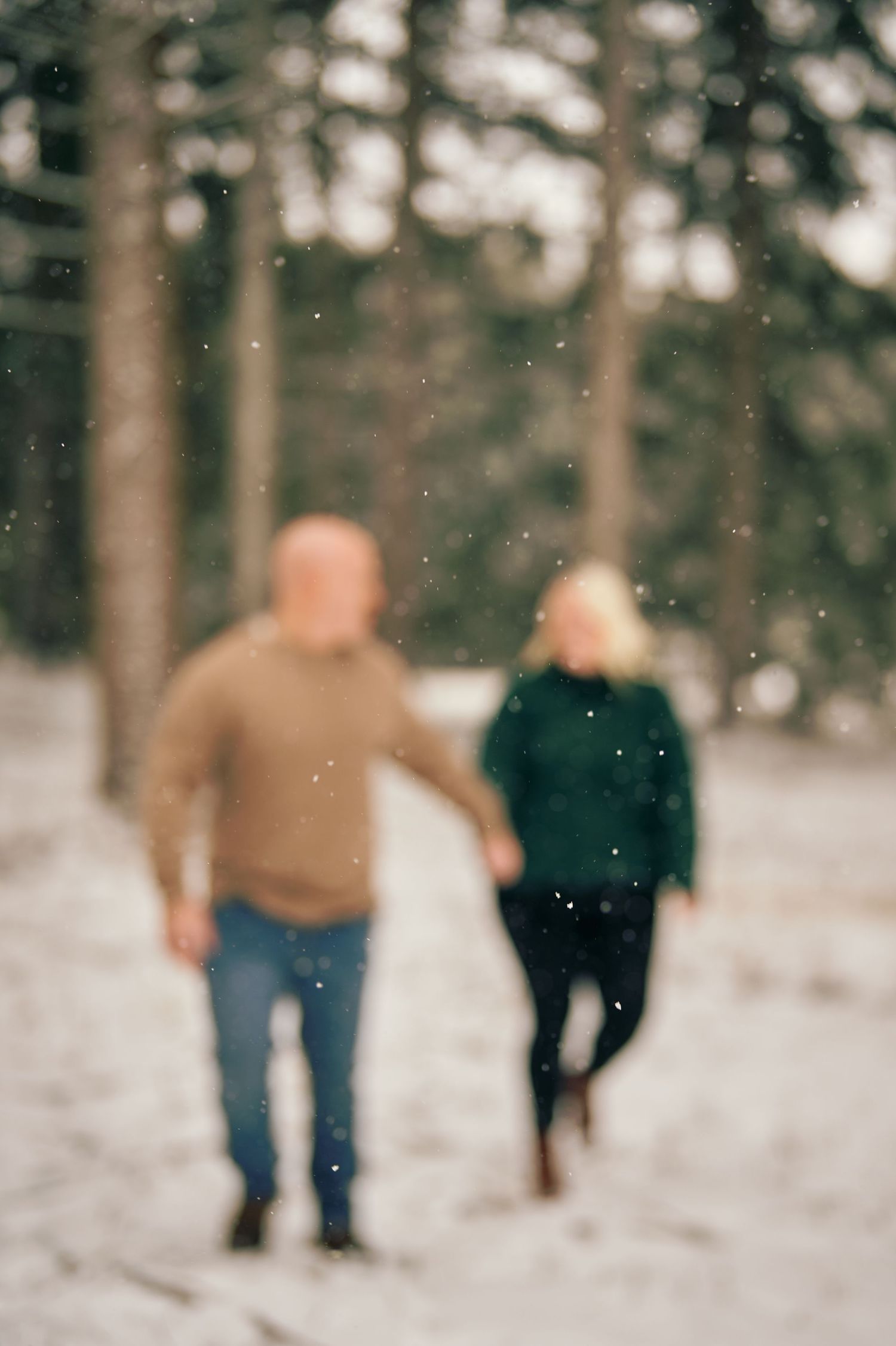 Two people walk together through a snowy forest path on a winter day with a soft blurred effect in the foreground.