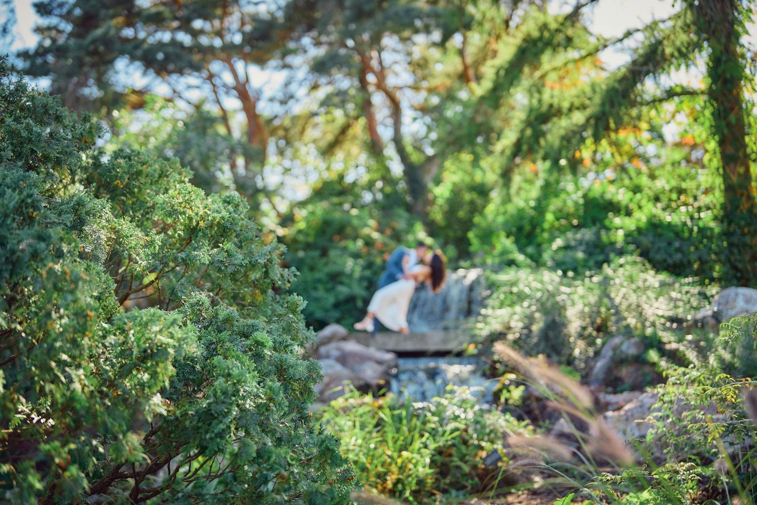 A person sits peacefully in a lush garden setting surrounded by green foliage and natural stones.