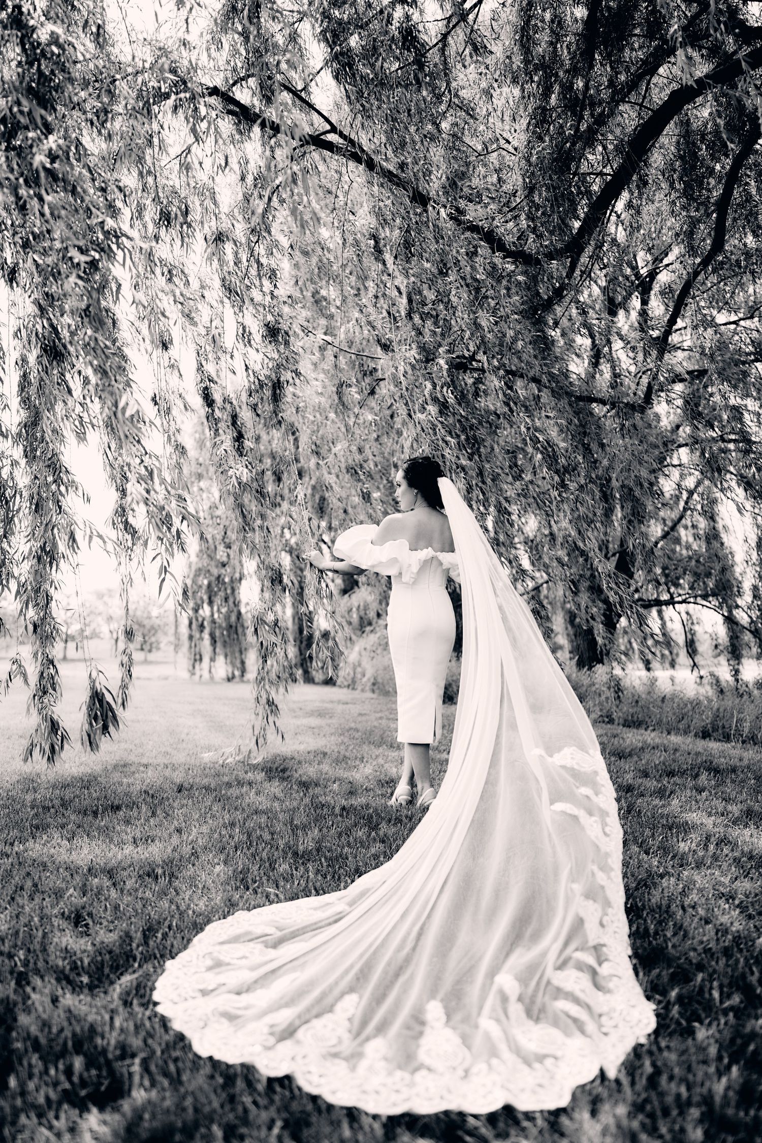 A flowing white wedding dress train spreads beneath willow trees in black and white.