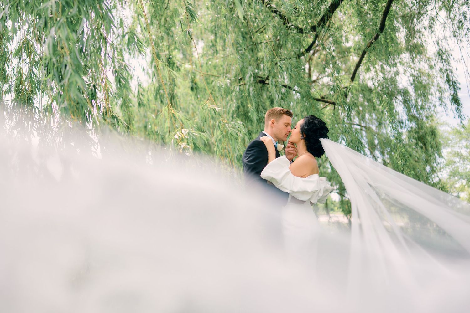 A romantic wedding couple embraces under a weeping willow tree with sunlight filtering through the branches.