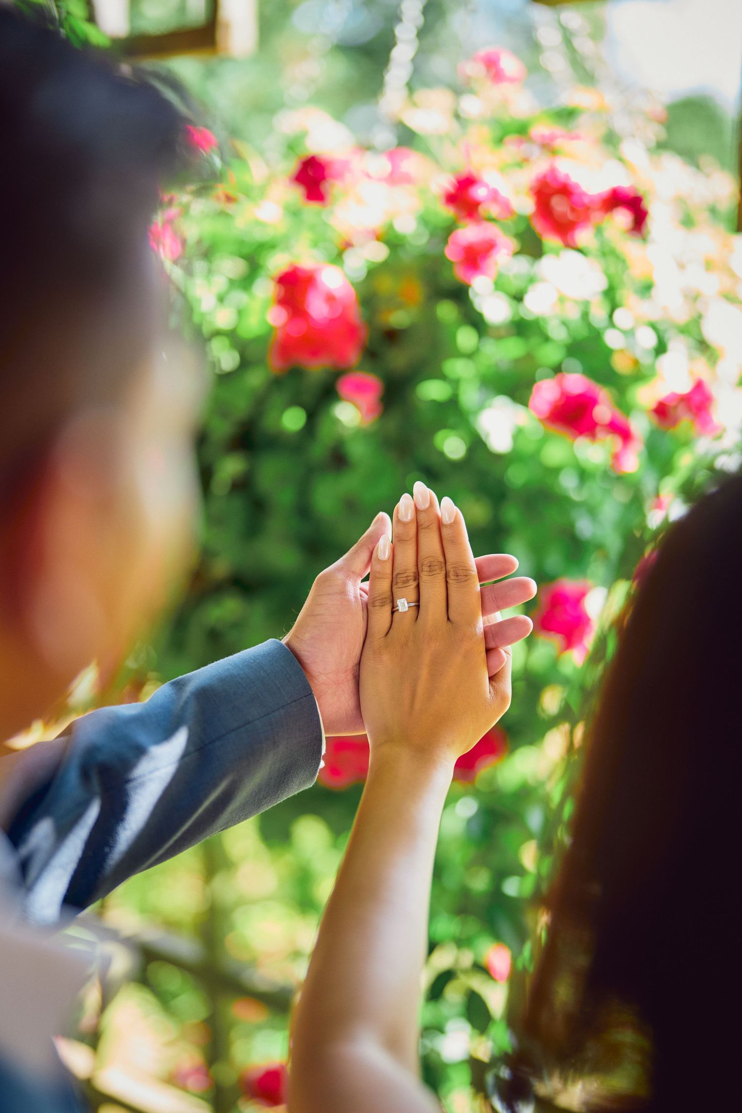 Close-up of hands meeting in high-five against a background of blooming red roses in a garden.