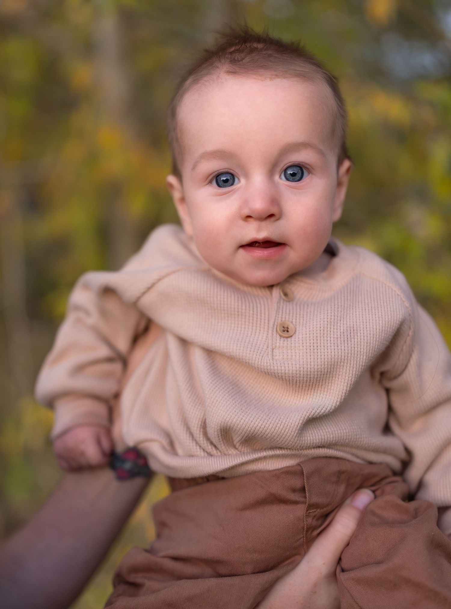 A portrait of an infant boy in front of green trees