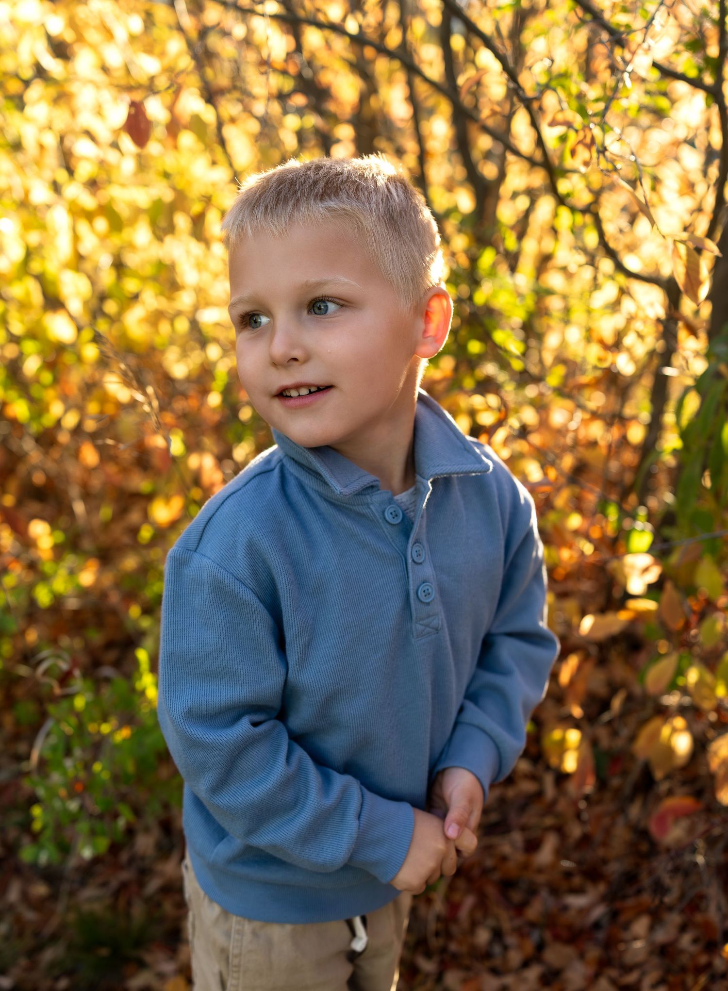 A portrait of a young boy with autumn leaves behind him