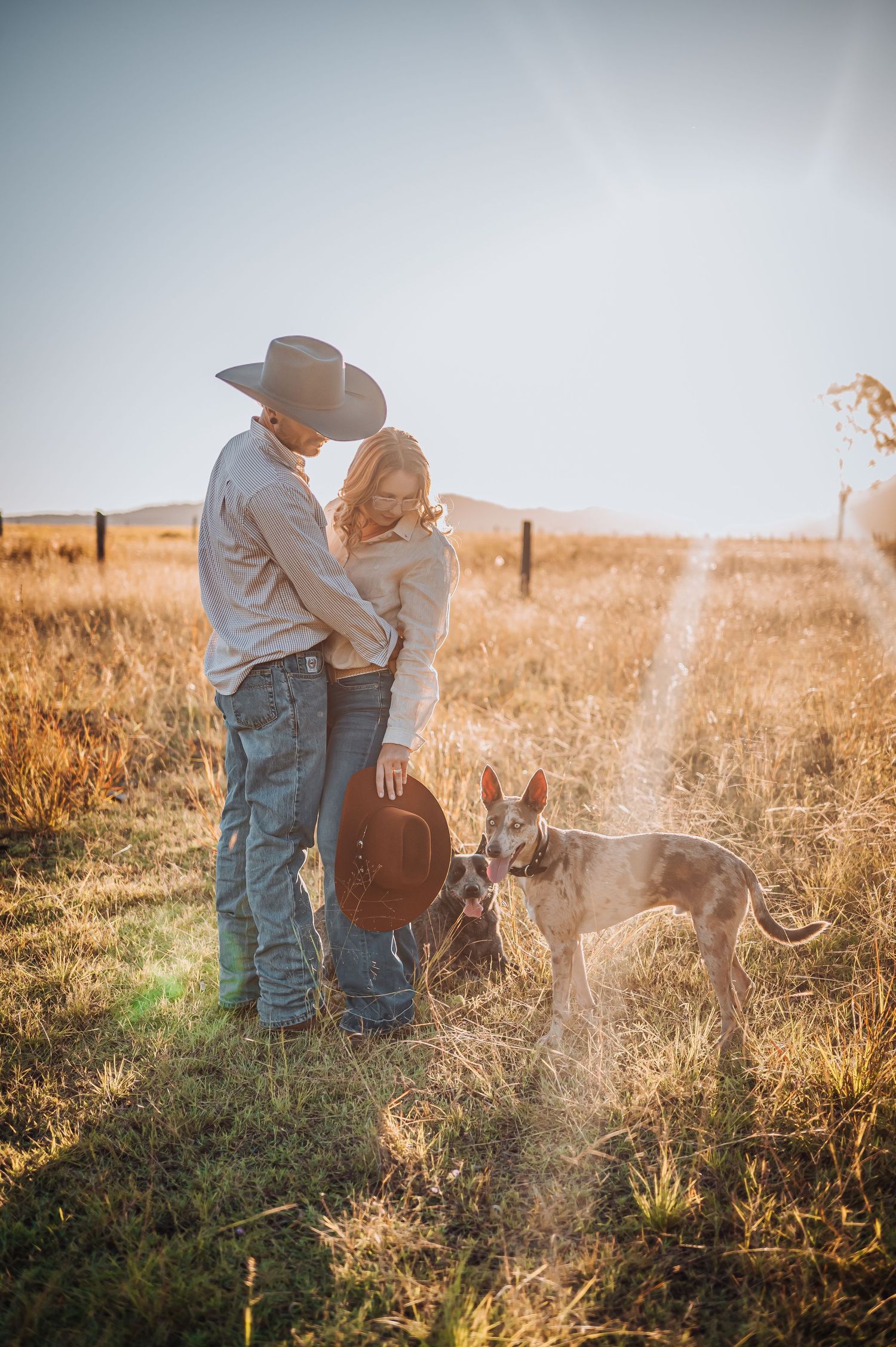 A couple stands together in a golden field at sunset with their dog.