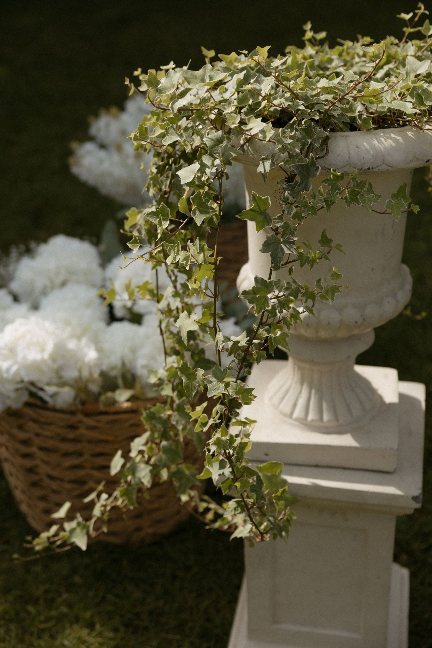 White urn planter with trailing ivy on pedestal beside wicker basket of white flowers in garden setting.