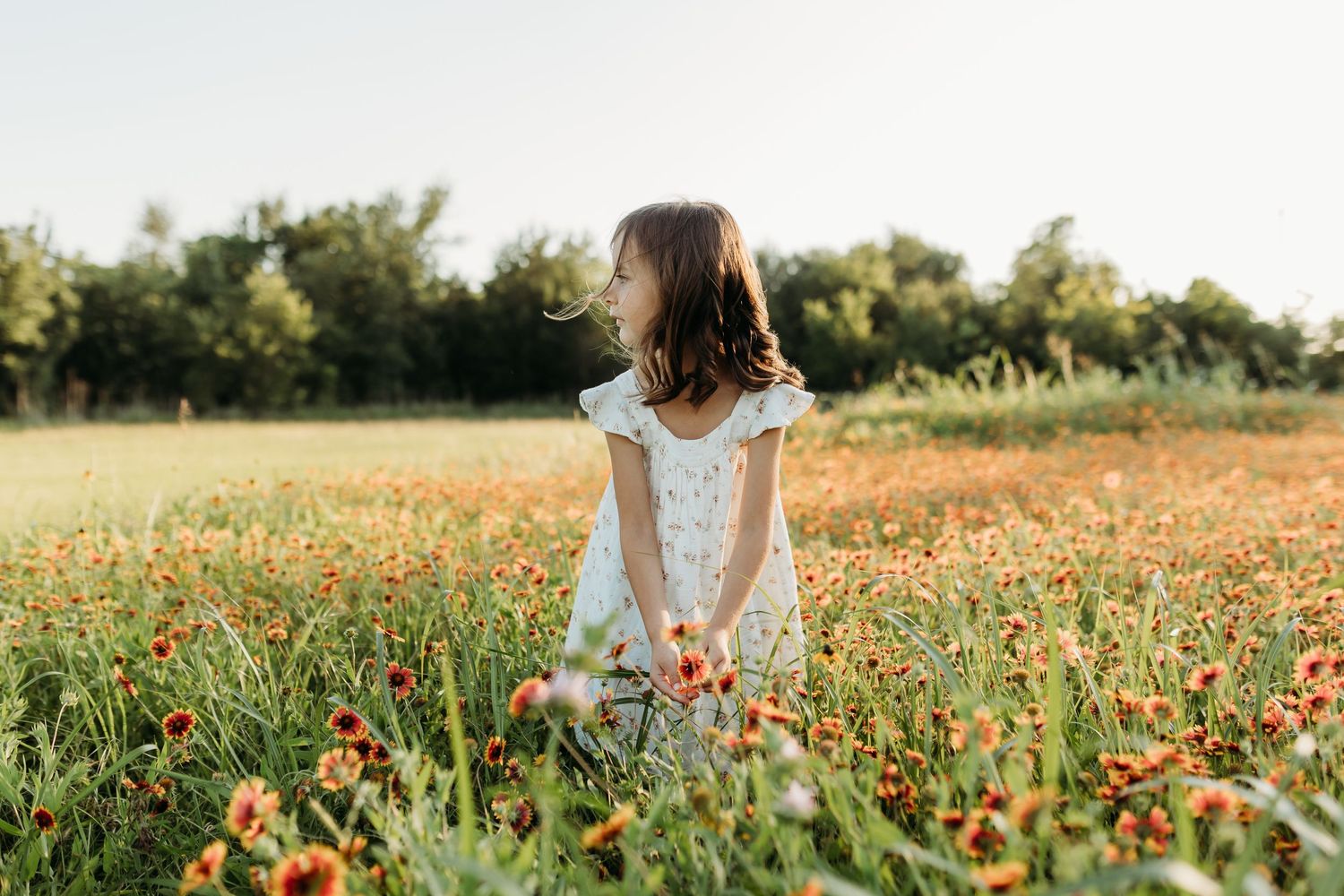 A young girl in a white dress kneels in a vibrant field of red and orange wildflowers at sunset.