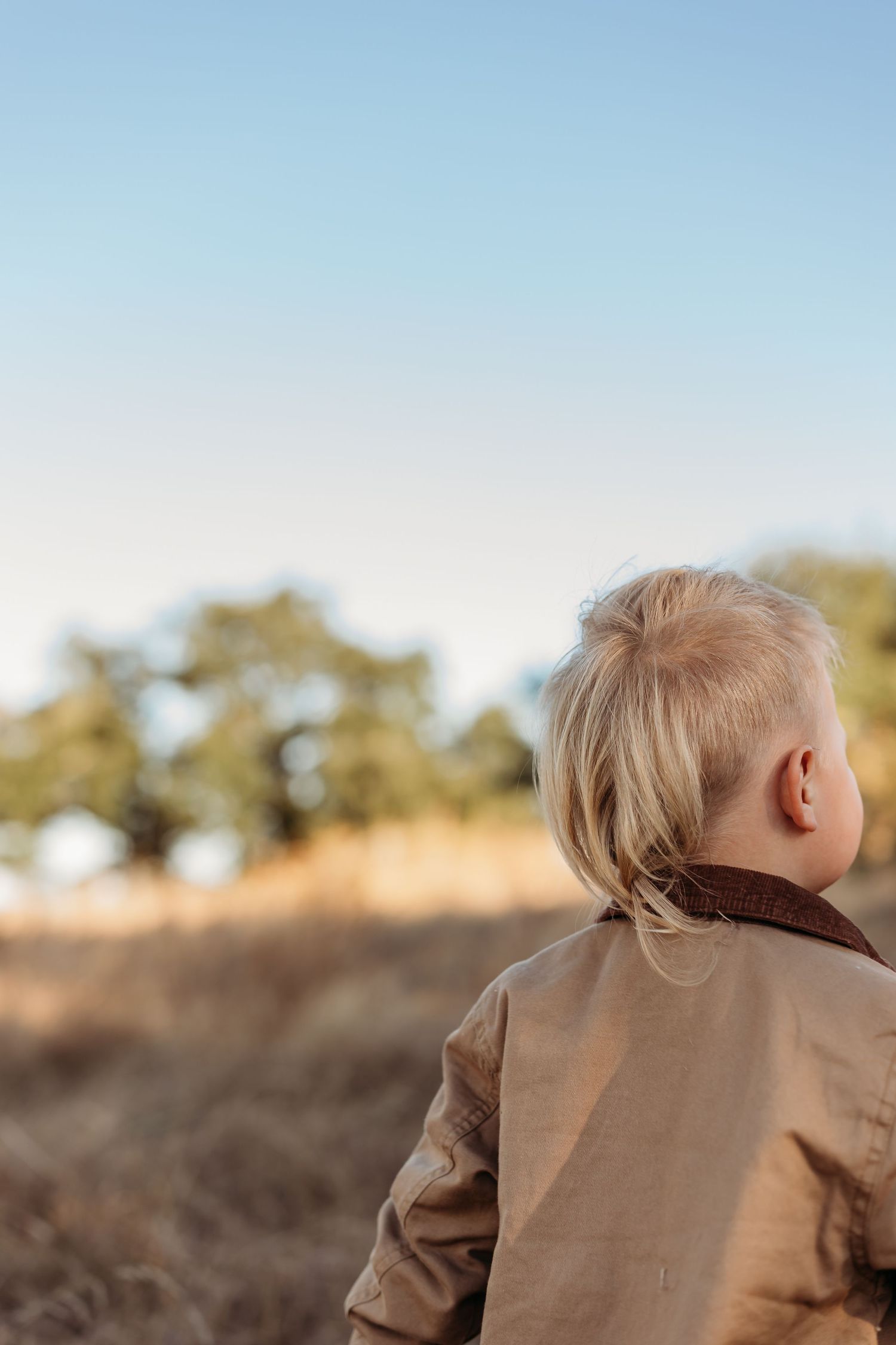 Rear view of a blonde toddler in a tan jacket standing in a golden field under blue sky.