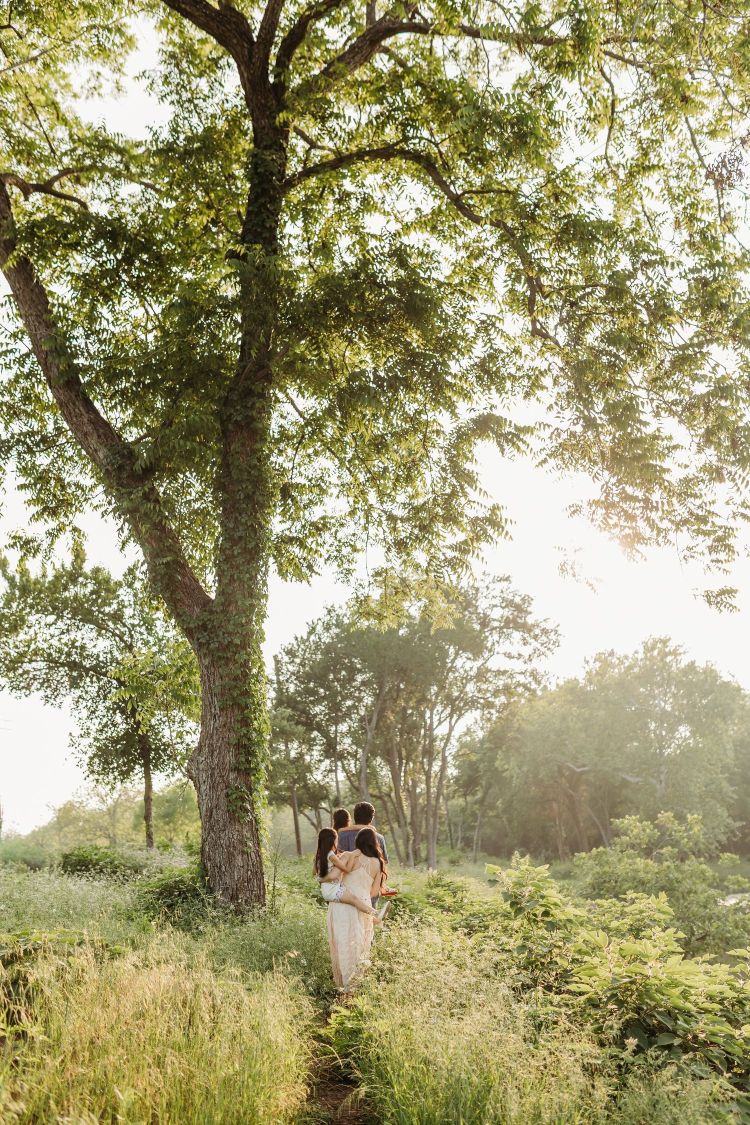 Couple embracing on a sunlit nature path beneath a large green tree in lush landscape.