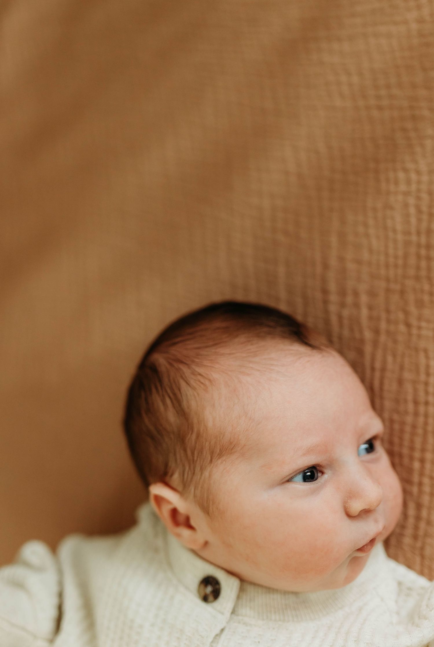 Alert newborn baby with blue eyes looks up while lying on warm caramel fabric.