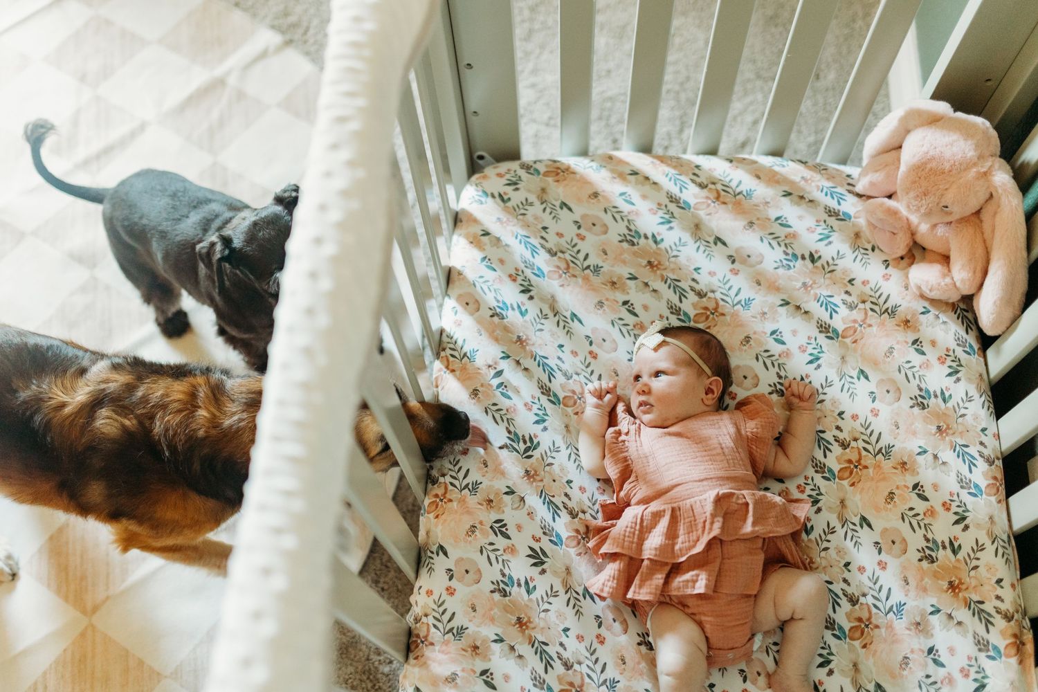 Newborn baby lying in a white crib with floral bedding while two dogs look on nearby.