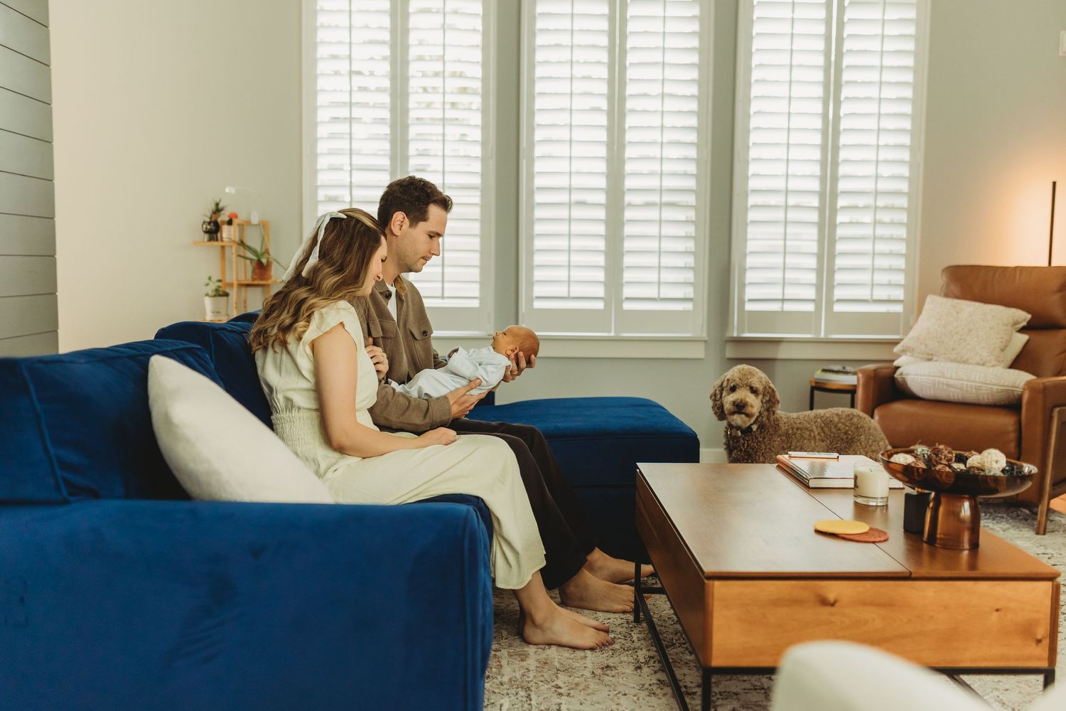 Couple sitting together on blue velvet sofa in modern living room with fluffy dog on coffee table.