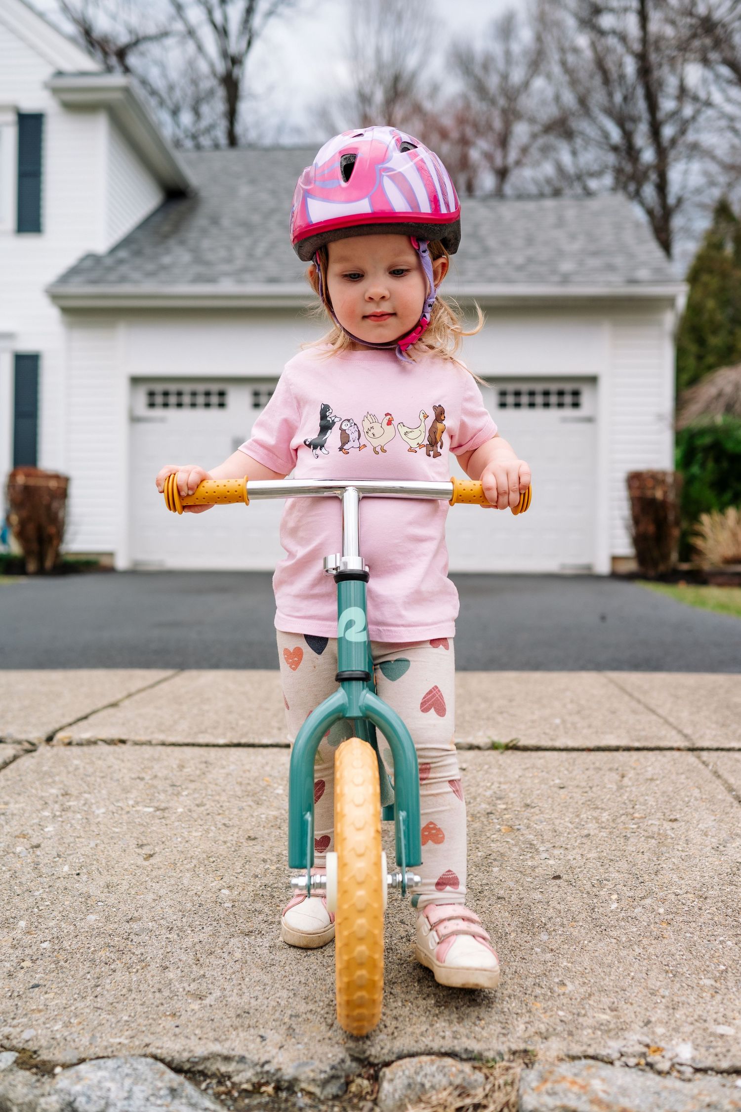 NJ Family Documentary Lifestyle Photo photography photographer newborn pets New Jersey morris county Somerset county warren county Sussex co