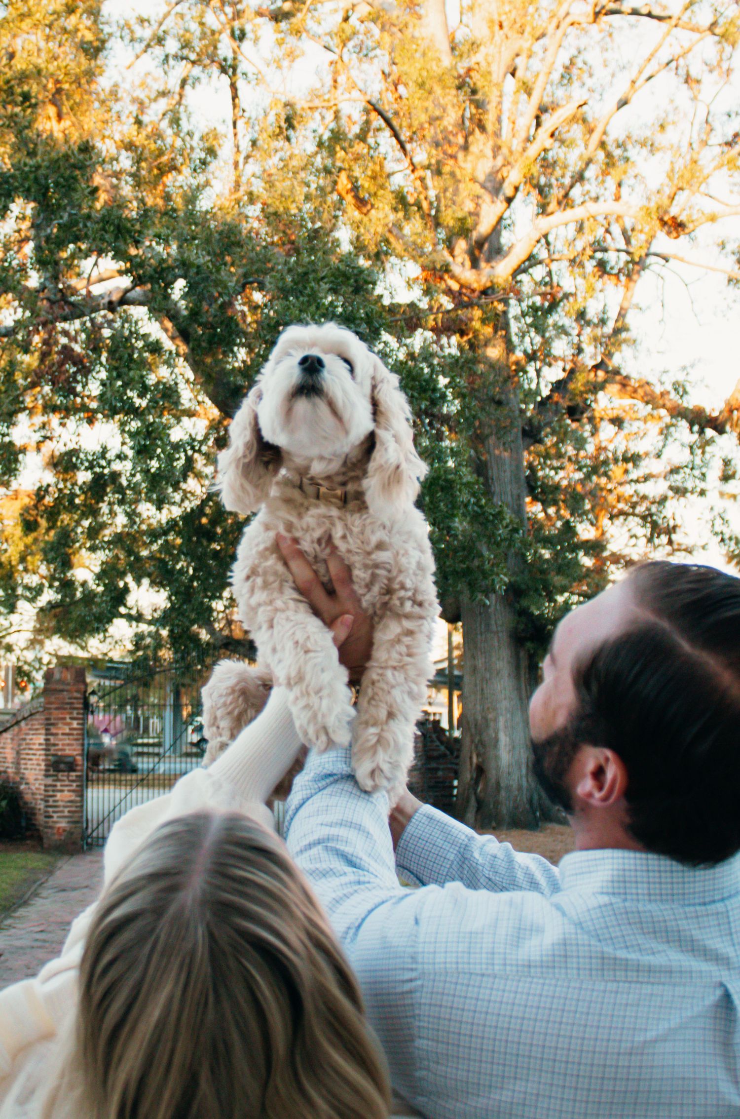 husband and wife, holding dog in the air, dog facing camera