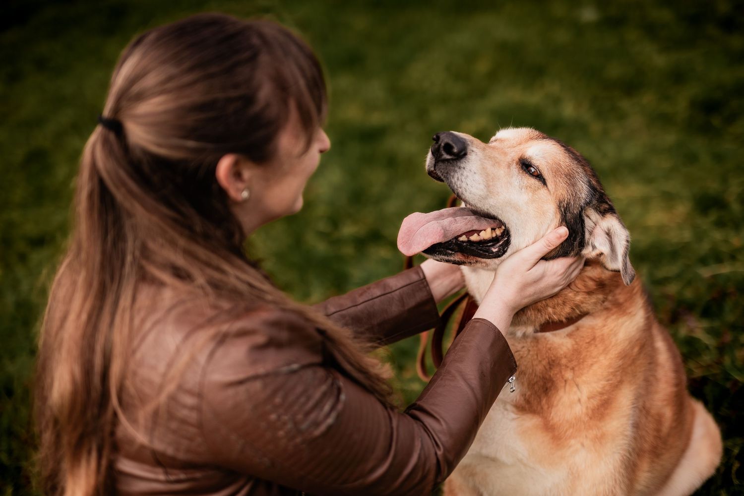 A heartwarming moment between a person in a brown leather jacket and their happy golden retriever dog.