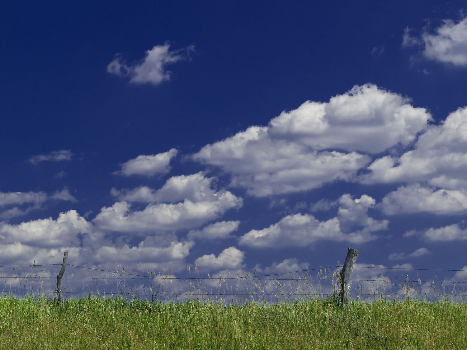 meadow with old fence and blue sky with clouds