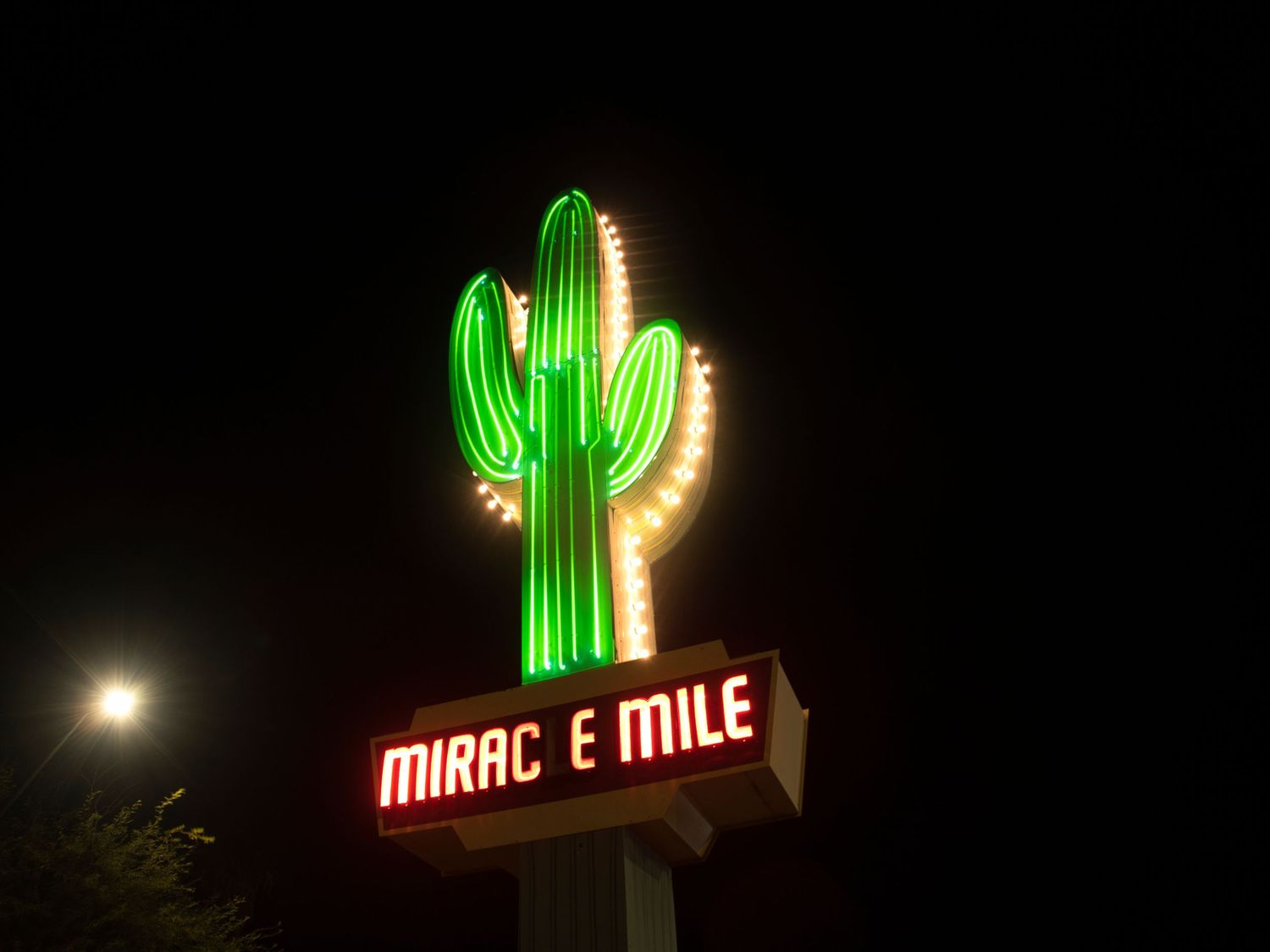 Saguaro Cactus Neon Sign
