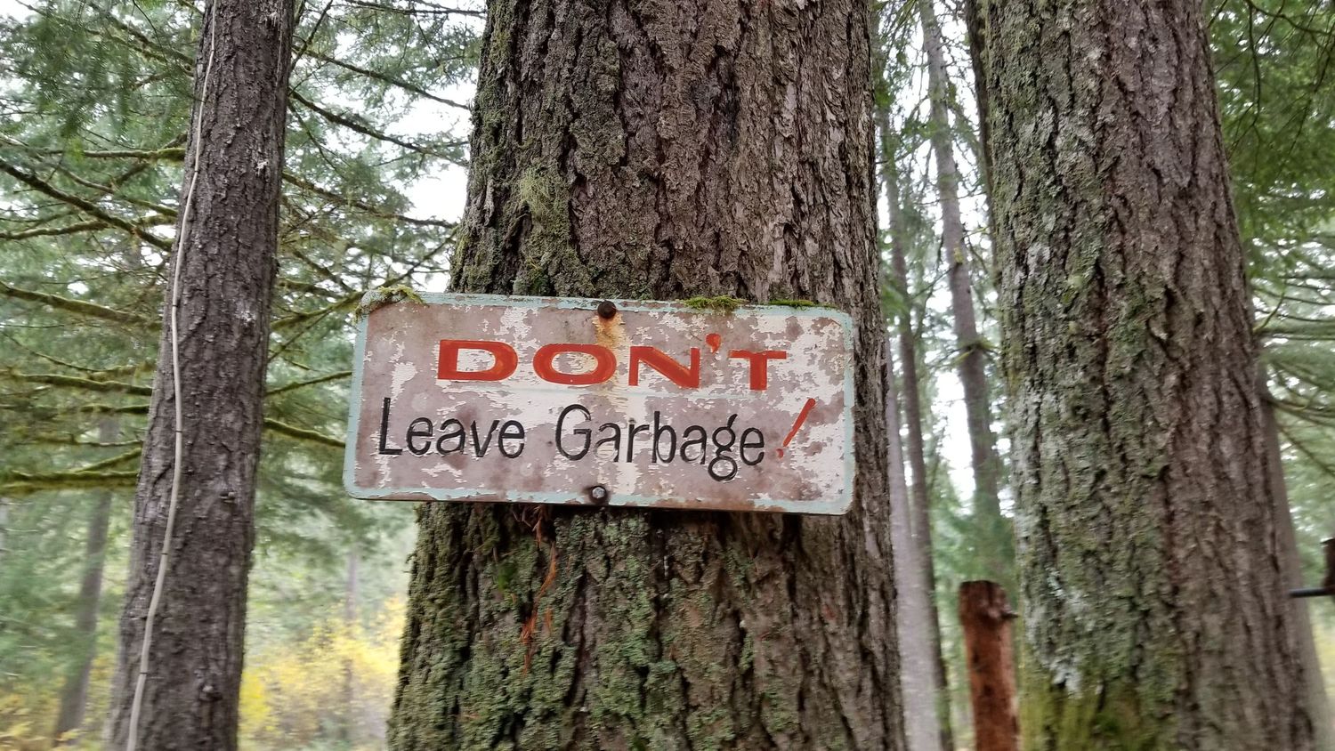 a sign on a tree