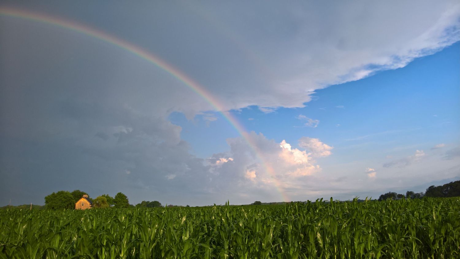rainbow cornfield and a barn