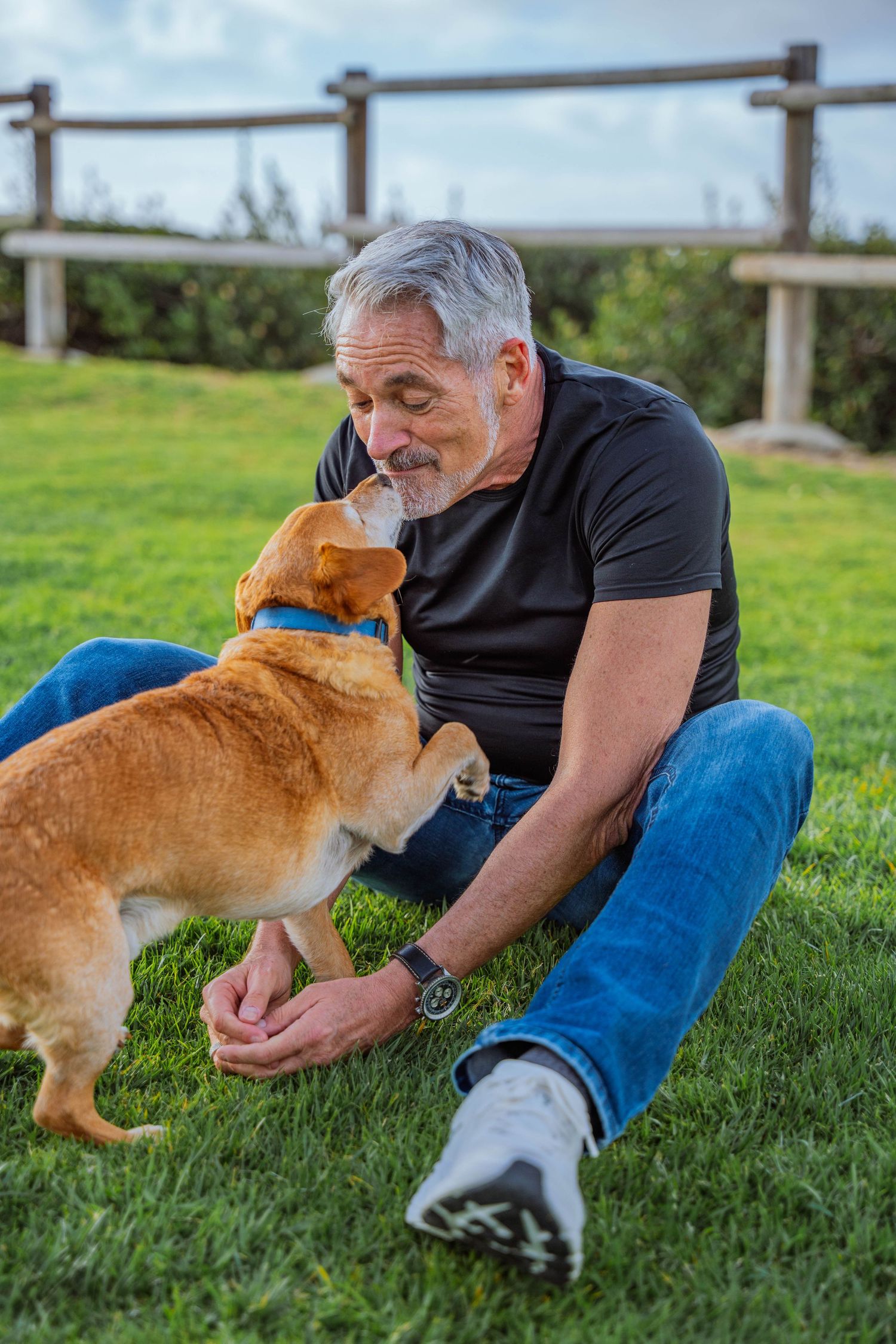 A ginger dog and a person play together on green grass in a sequence of three connected photos.