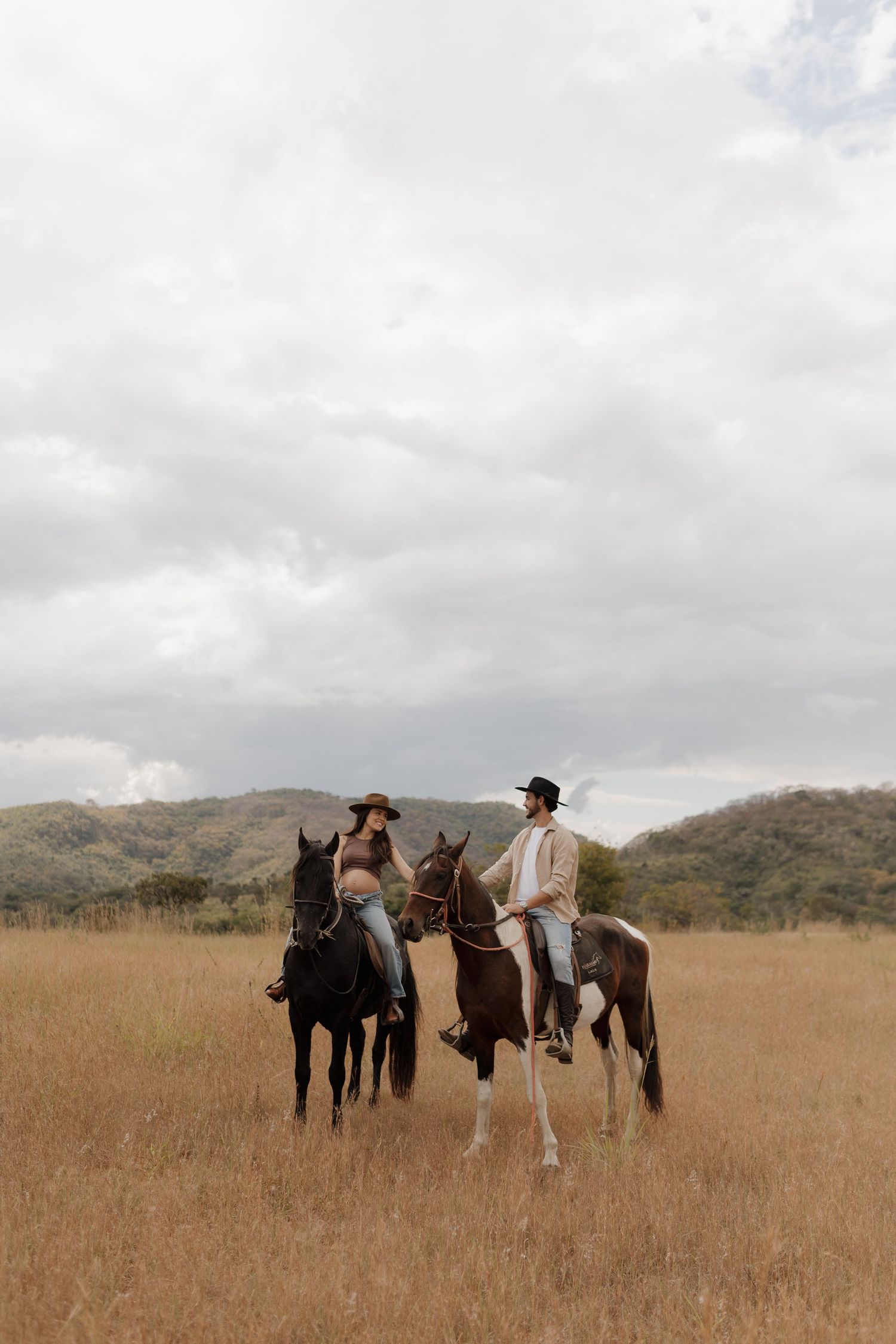 Several horses stand together in a golden field with mountains visible in the background.