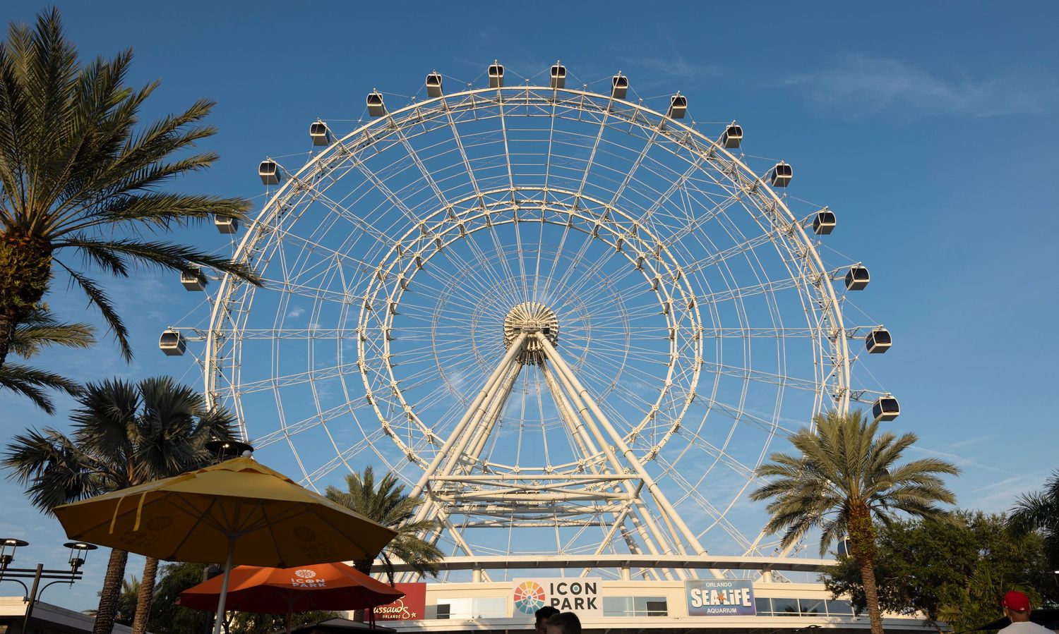 The ICON Park observation wheel ferris wheel towering over palm trees in Orlando Florida.