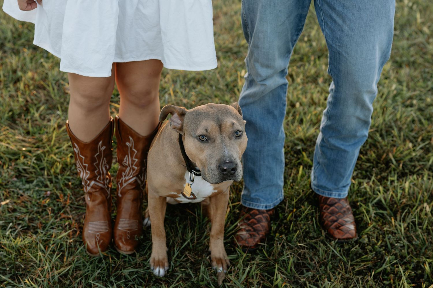 Cowboy boots and a dog's paws shown in a line on grass.