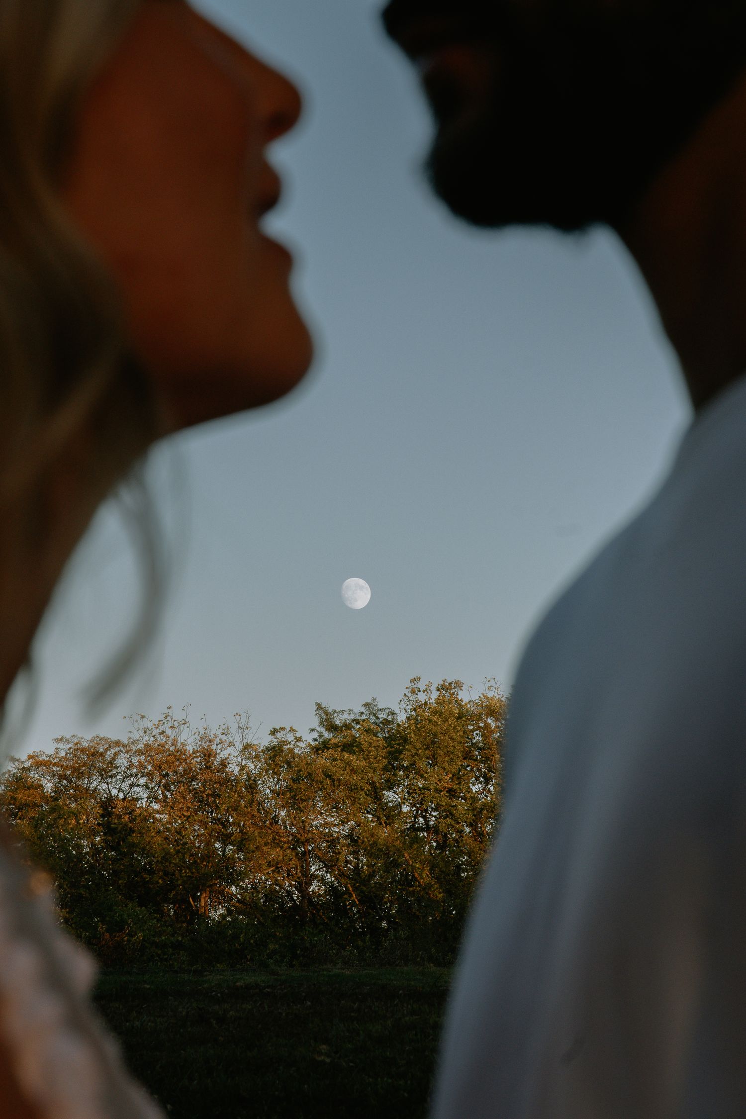 Silhouettes against a dusky sky with a rising moon.