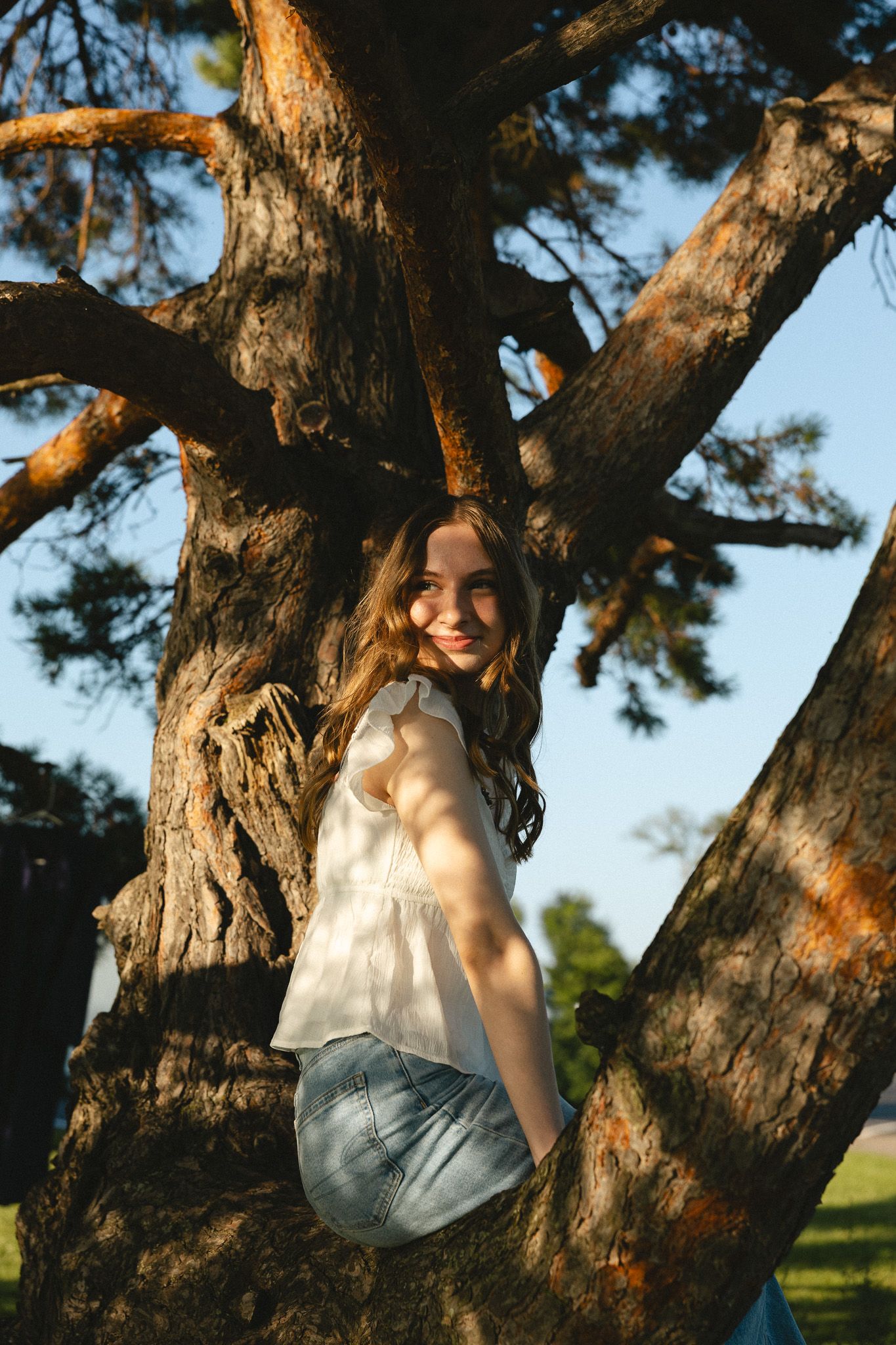 Young woman in white top and denim shorts smiling while sitting in a large tree at golden hour.