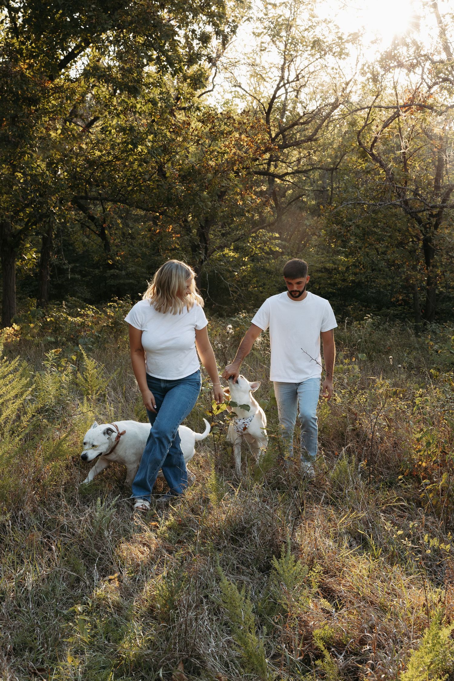 A couple and their dog walking through tall grass at golden hour.