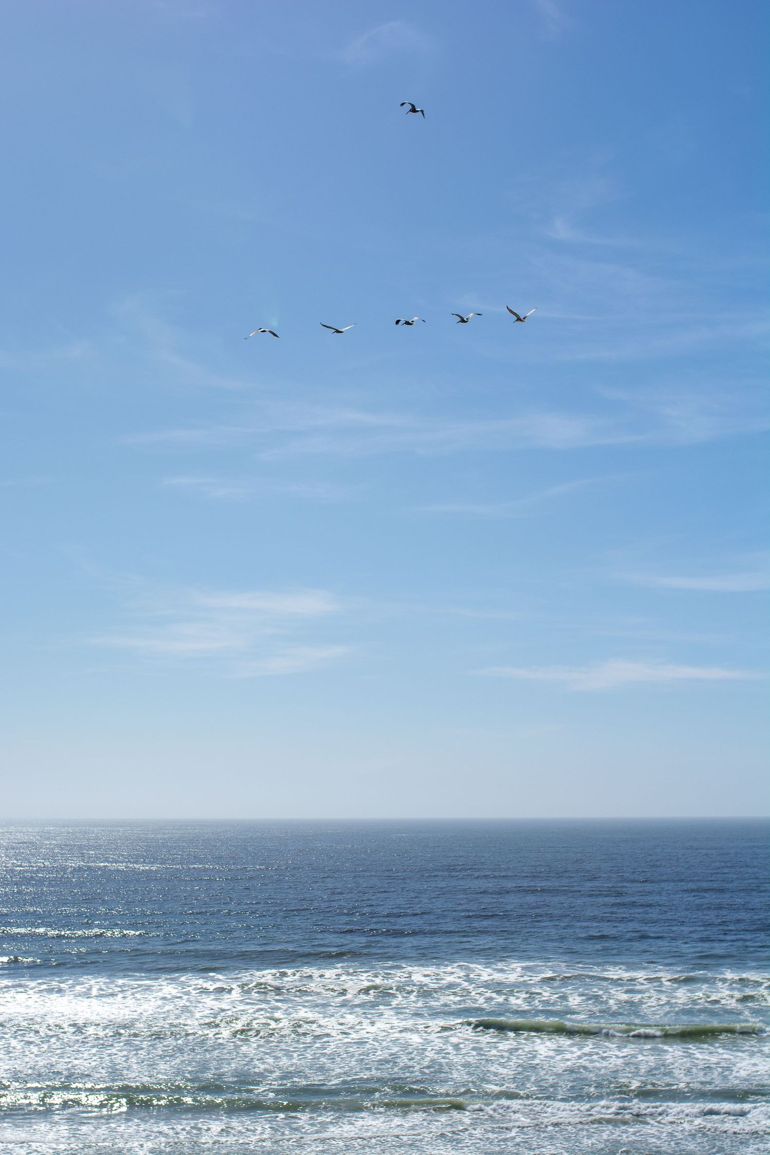 A pack of birds soars above the ocean waves through a clear, blue sky with wispy clouds.