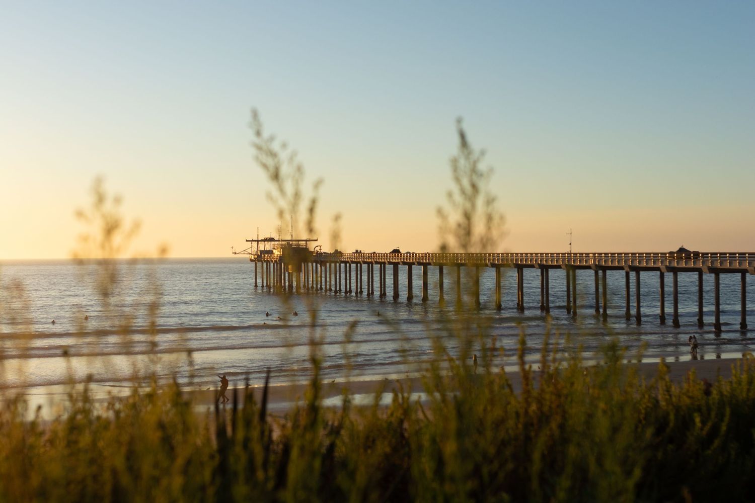 Fine art sunset print of Scripps Pier in La Jolla, California, framed by golden hour coastal greenery and soft ocean waves