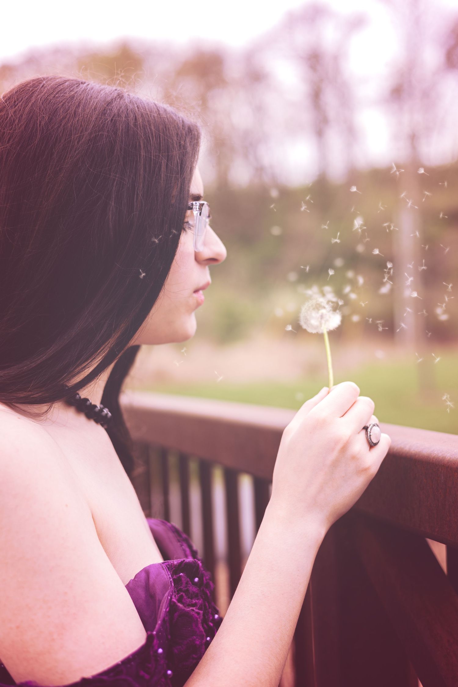 Linnea and the dandelion