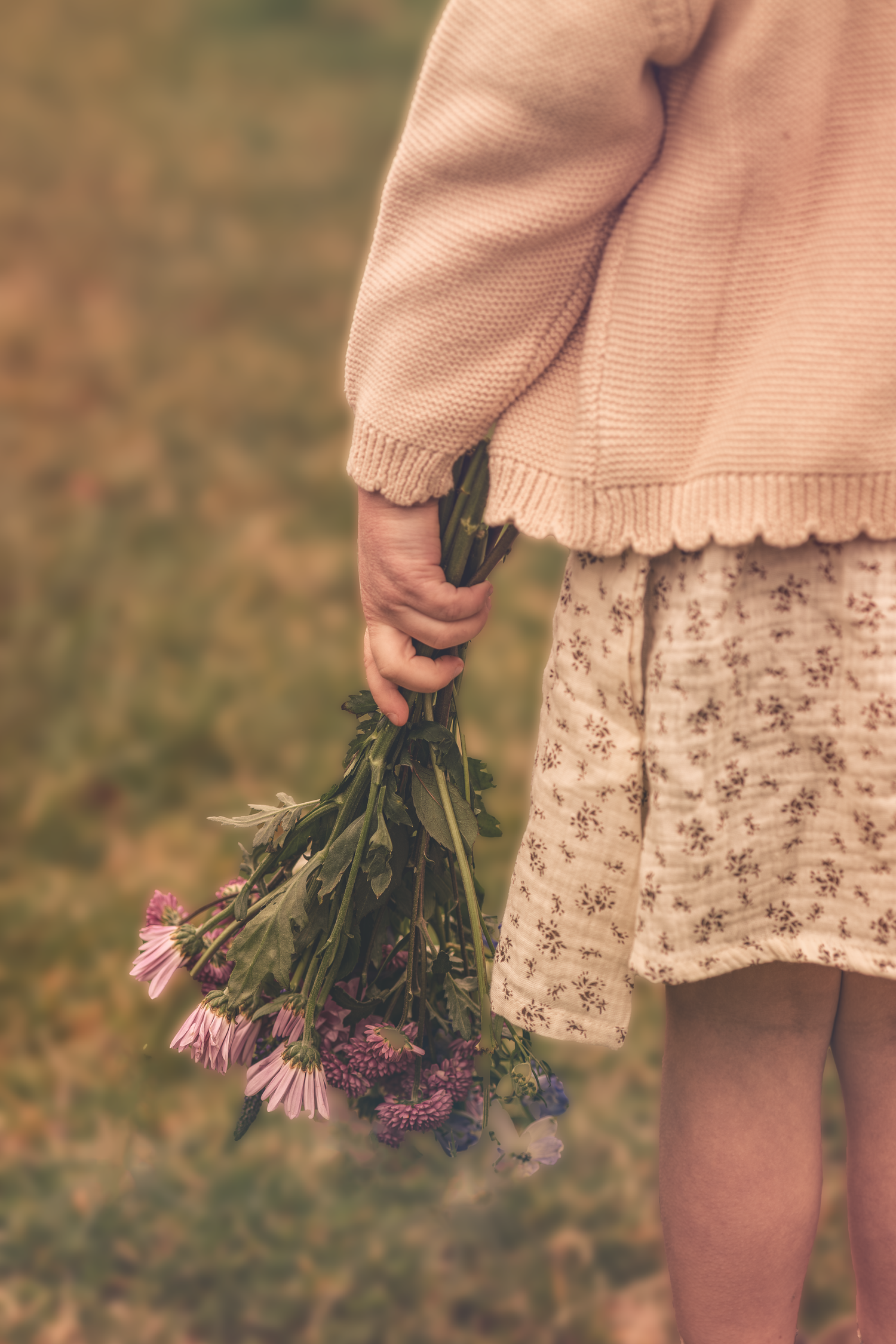 Wildflowers