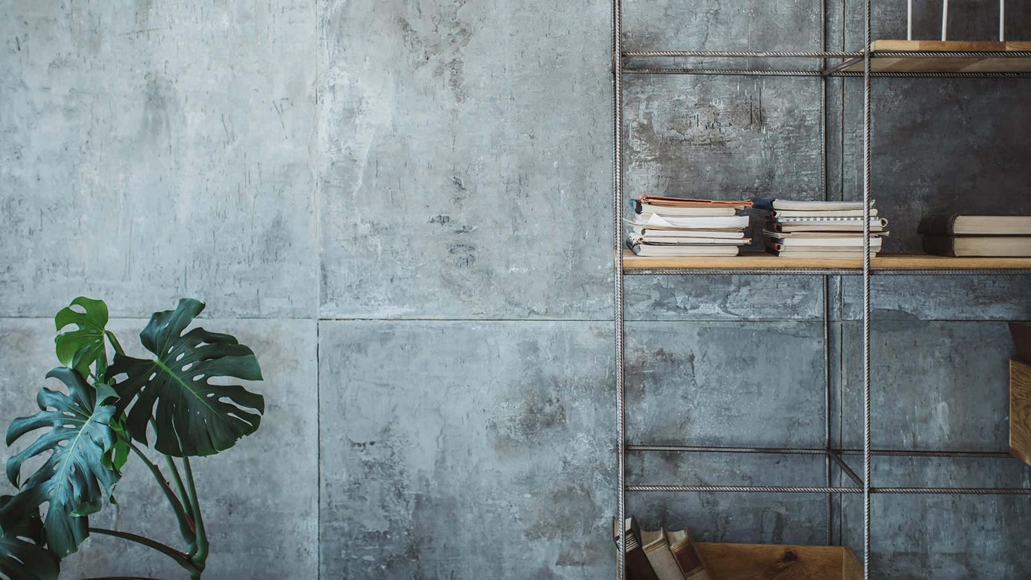 Modern living room with concrete walls, bookshelves, and a large monstera plant in the corner.