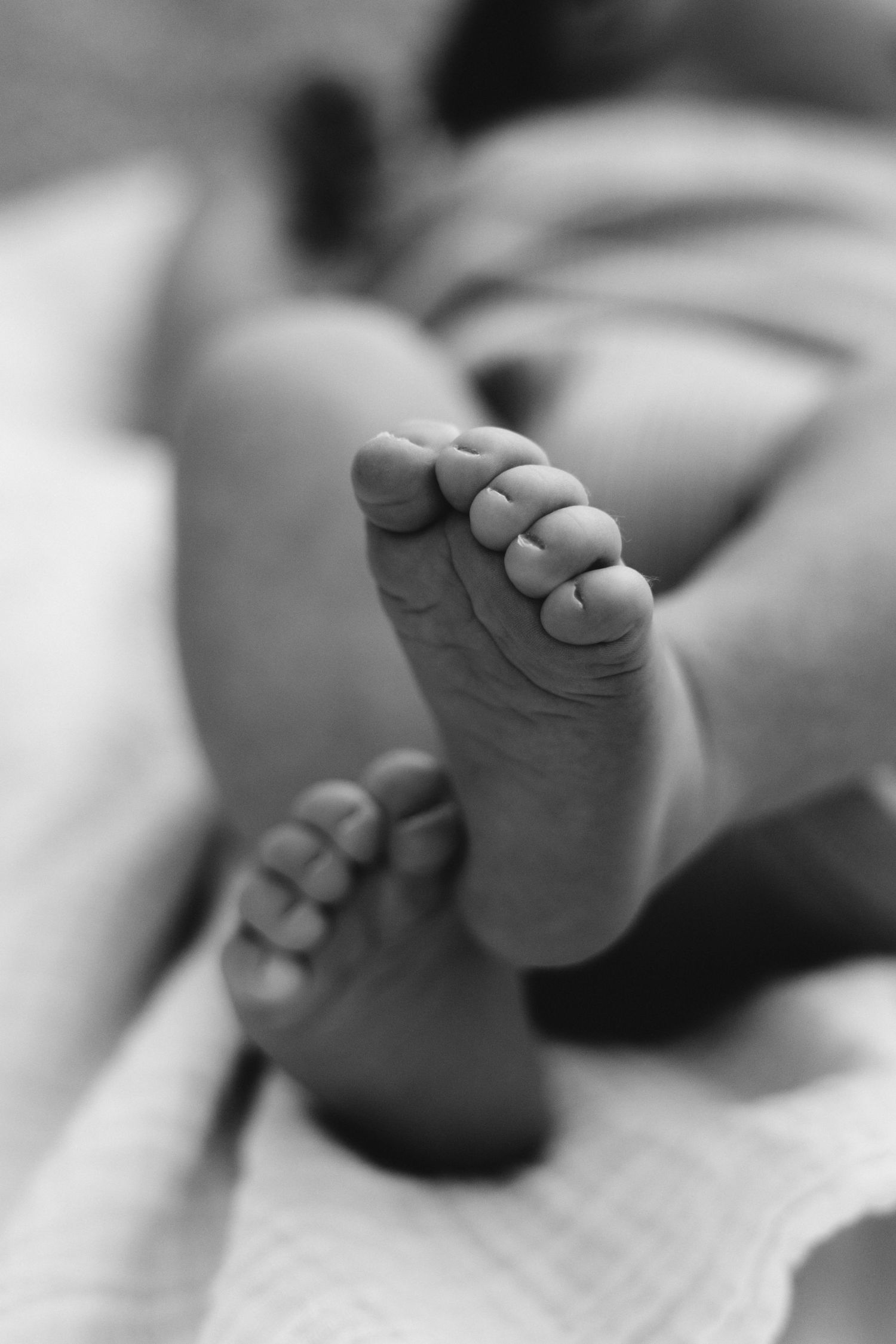 Newborn Photoshoot, Shelly Beach, Sunshine Coast