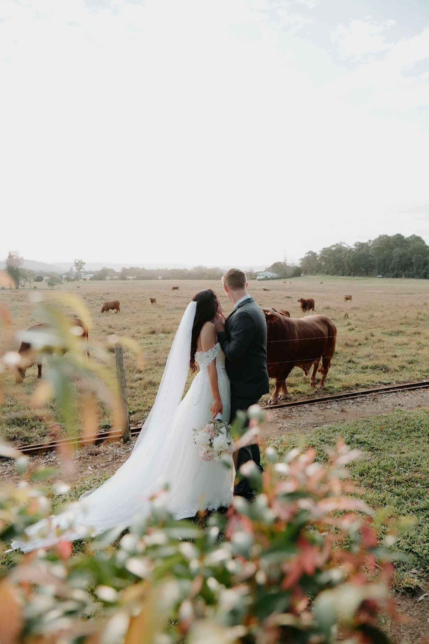 Wedding photography, The Rocks Yandina, Sunshine Coast