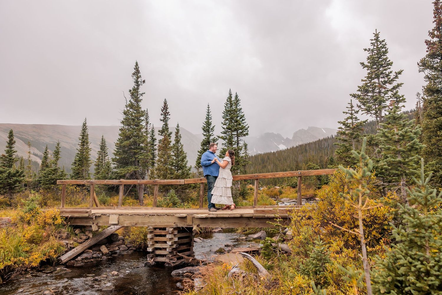 A scenic mountain landscape with evergreen trees and wooden bridge walkways during autumn season.