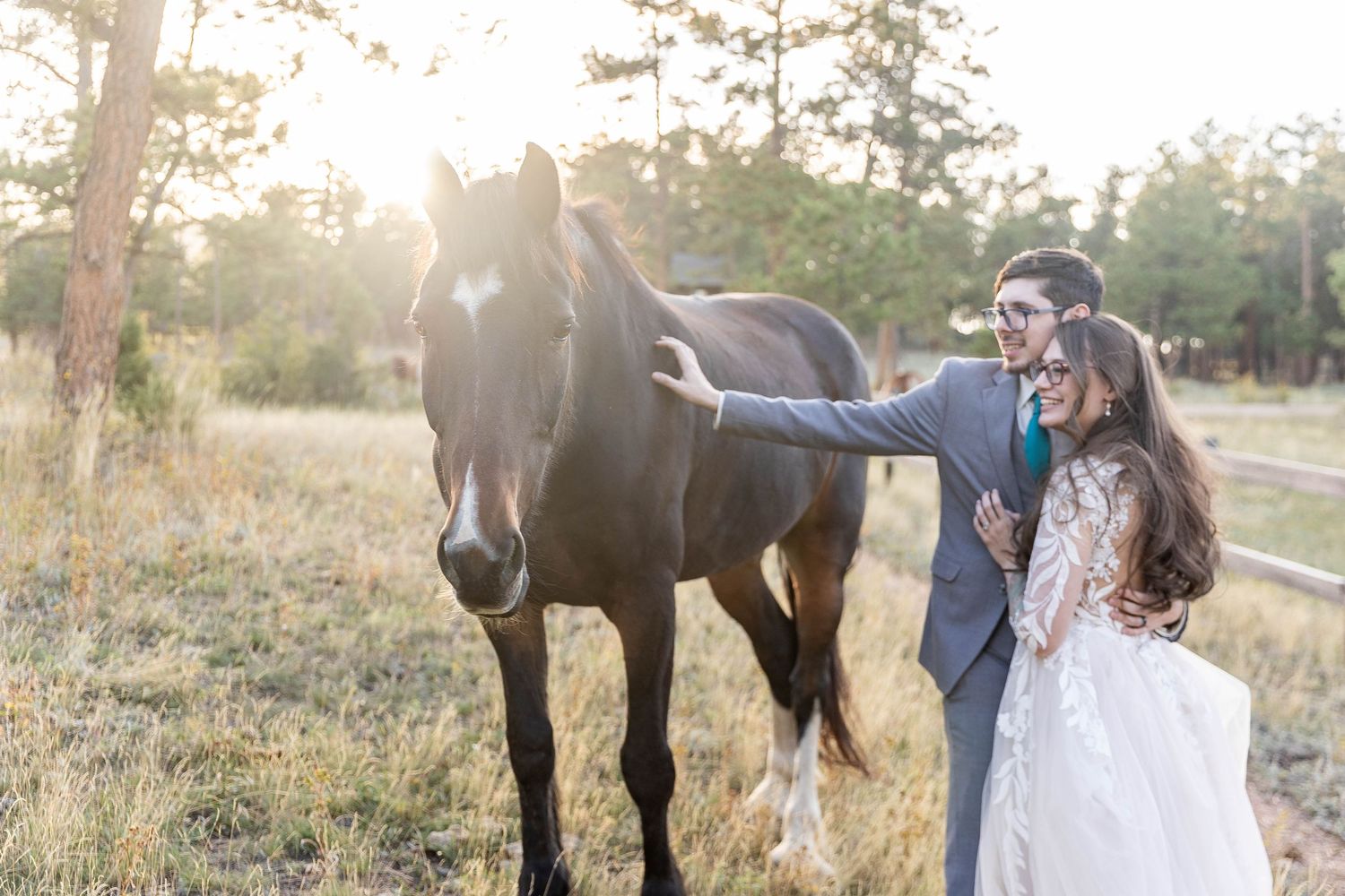 A romantic outdoor photo session with a couple and their beautiful brown horse in a sun-drenched field at golden hour.