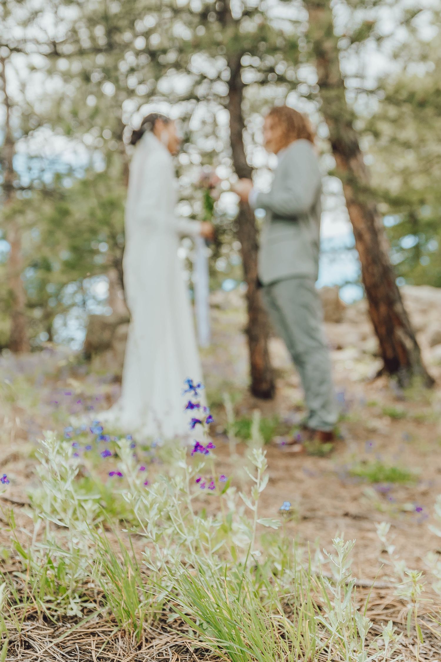 Colorado Wedding Photographer, Travel Wedding Photographer, Arizona Wedding Photographer, Elopement Photographer