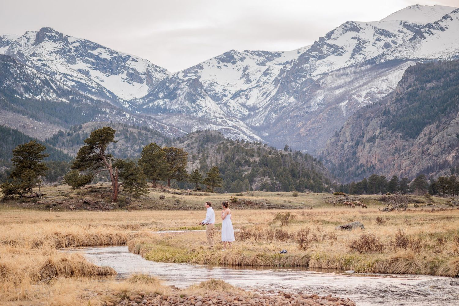 Snow-capped Rocky Mountain peaks rise above a winding trail through golden autumn grasslands in Colorado.