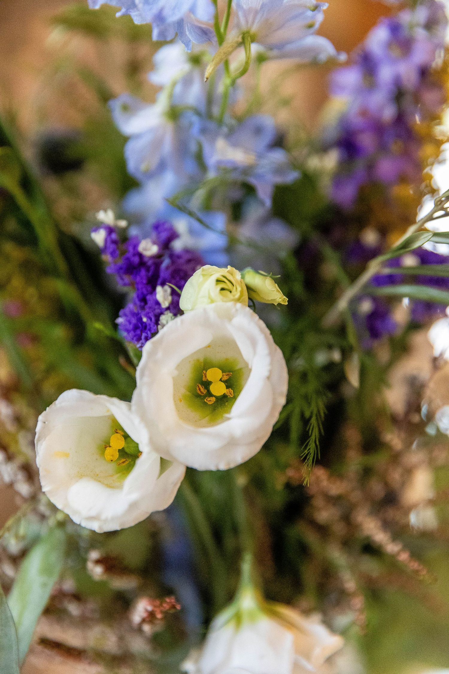 Colorado wedding photographer, Candid wedding photography Colorado, Della Terra Wedding Photographer, Mountain elopement